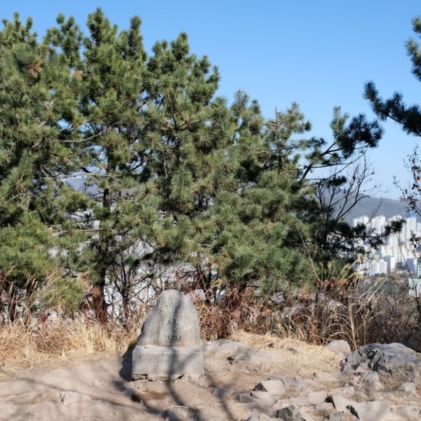 ⛰️ 부산 배산

✔ 연산동 도심속에서 즐기는 등산
✔ 반려견도 가능
✔ 등린이가능
✔ 길몰라도 올라갈땐 위로 내려올땐 아래로내려오면됨
✔ 배산 전망대에서 광안대교까지 보임

#등산 #부산등산 #부산등린이 #배산 #부산배산 #연산동 #연산동배산 #등린이
