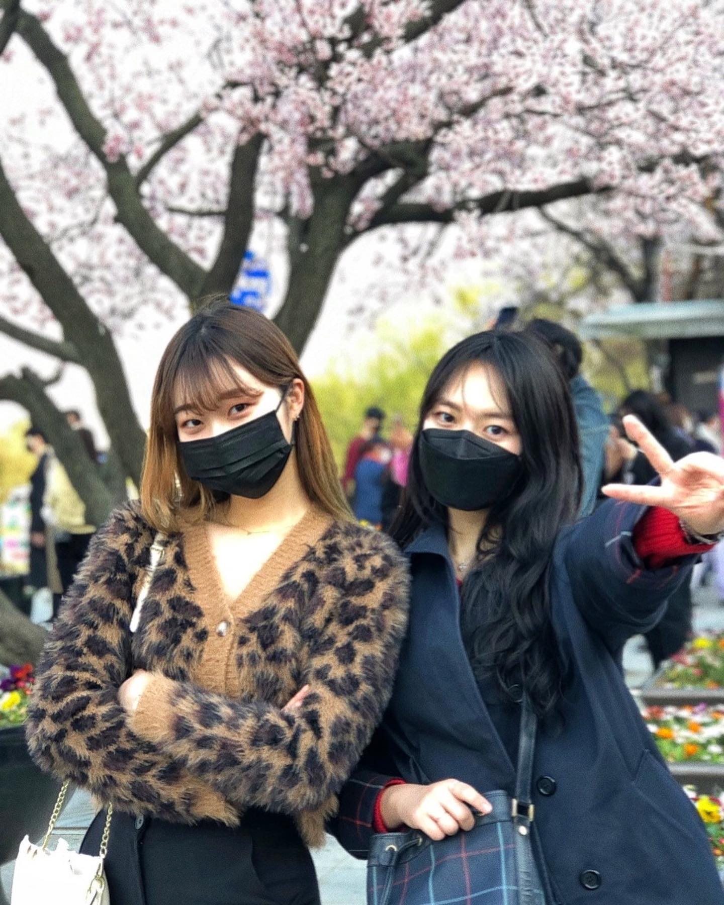 올해도 여전히 벚꽃거지

#공노해방 #인공알바 #연쮀의일상 #봄 #🌸 #망소이 #한강공원