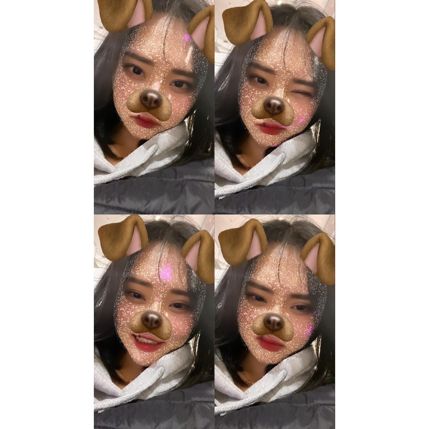 벚꽃놀이 가고싶