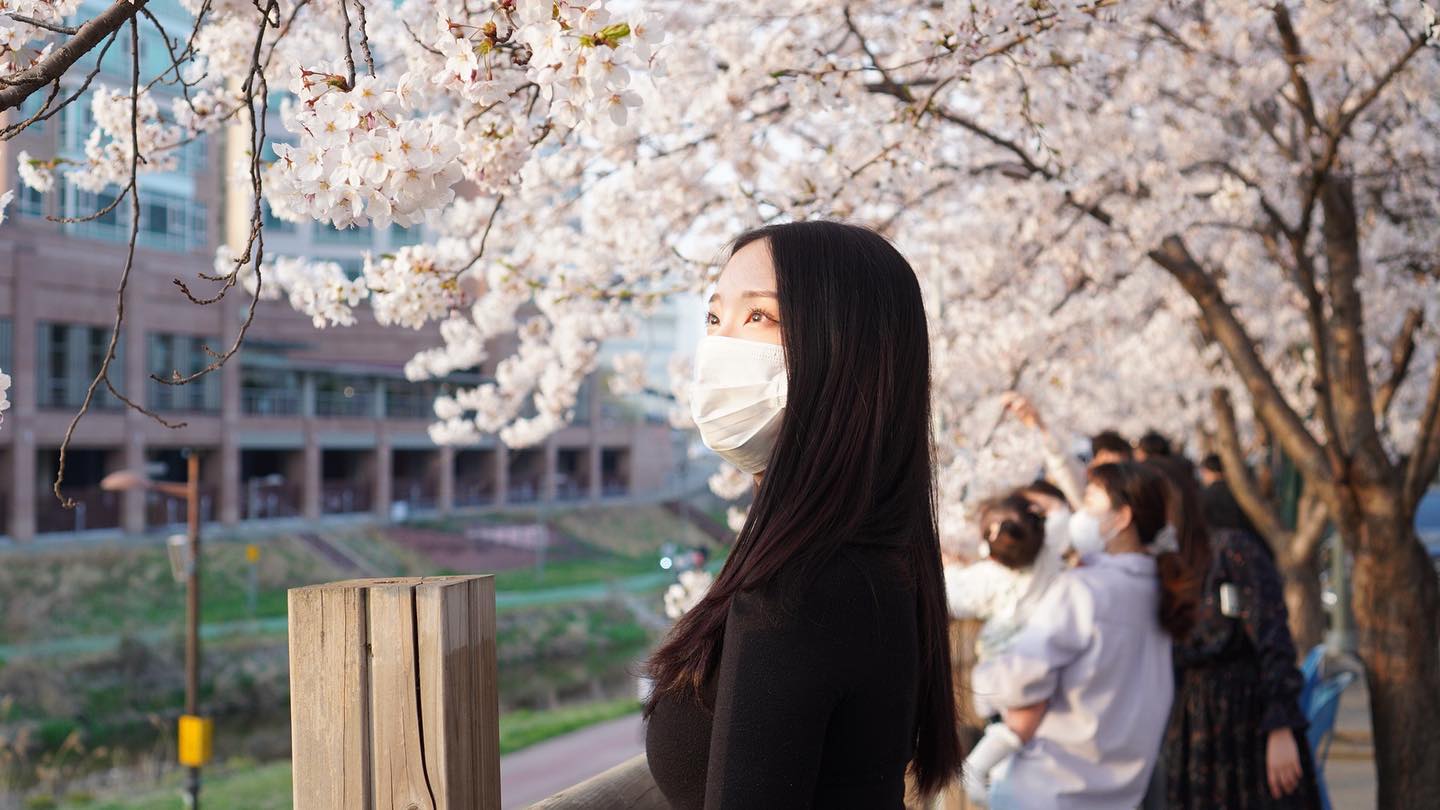 🌸