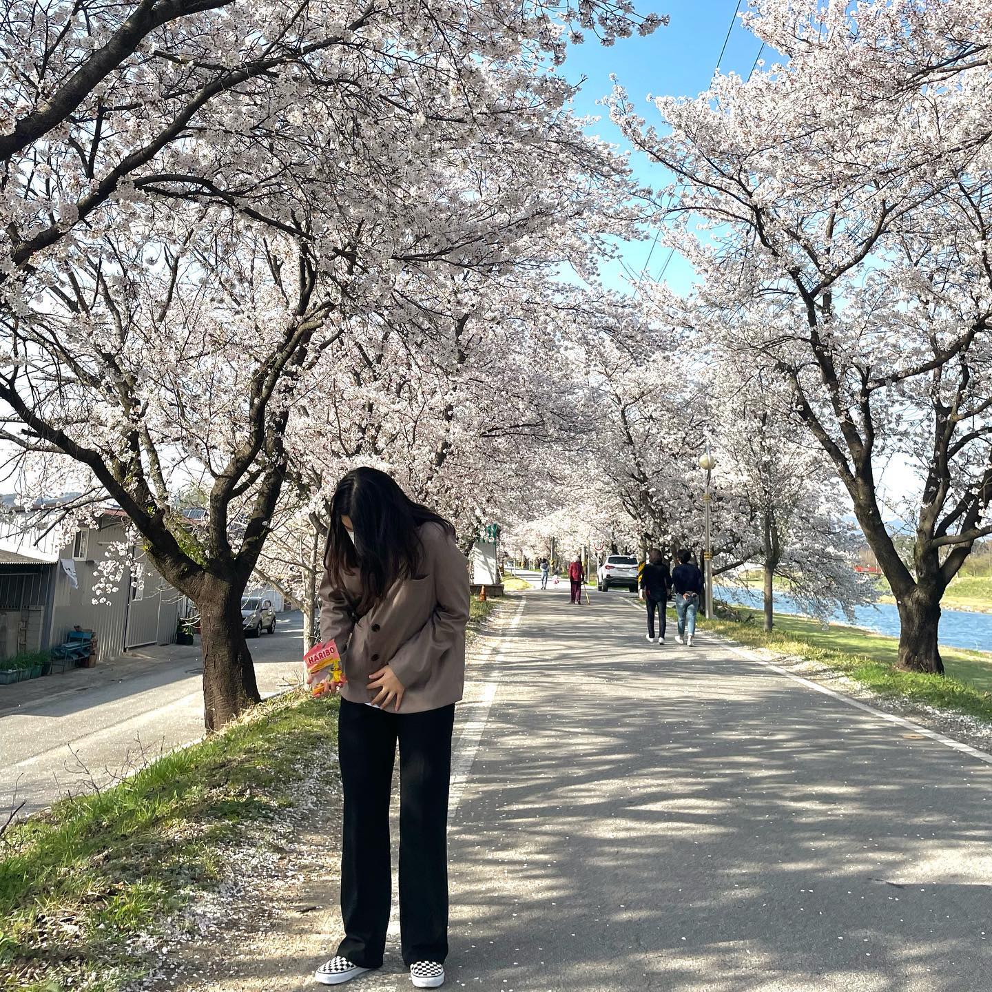 10대의 마지막 벚꽃 …! 
다들 20대 되면 하고 싶었던게 무엇이었나요..?