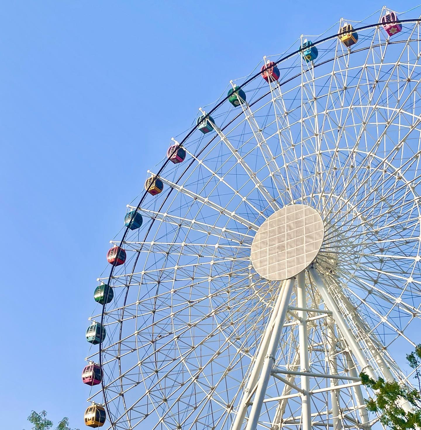 🎡