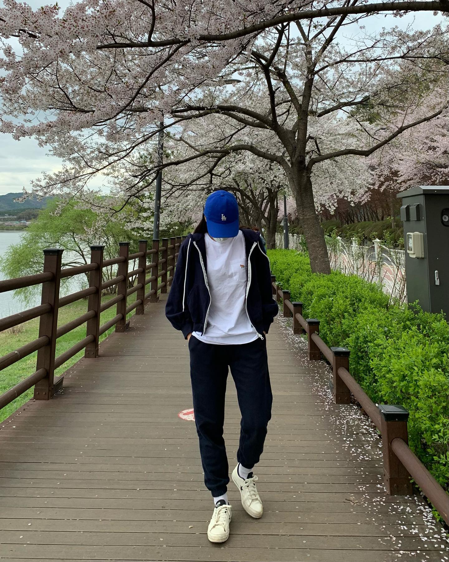 4.14 벚꽃 벼락치기🌸