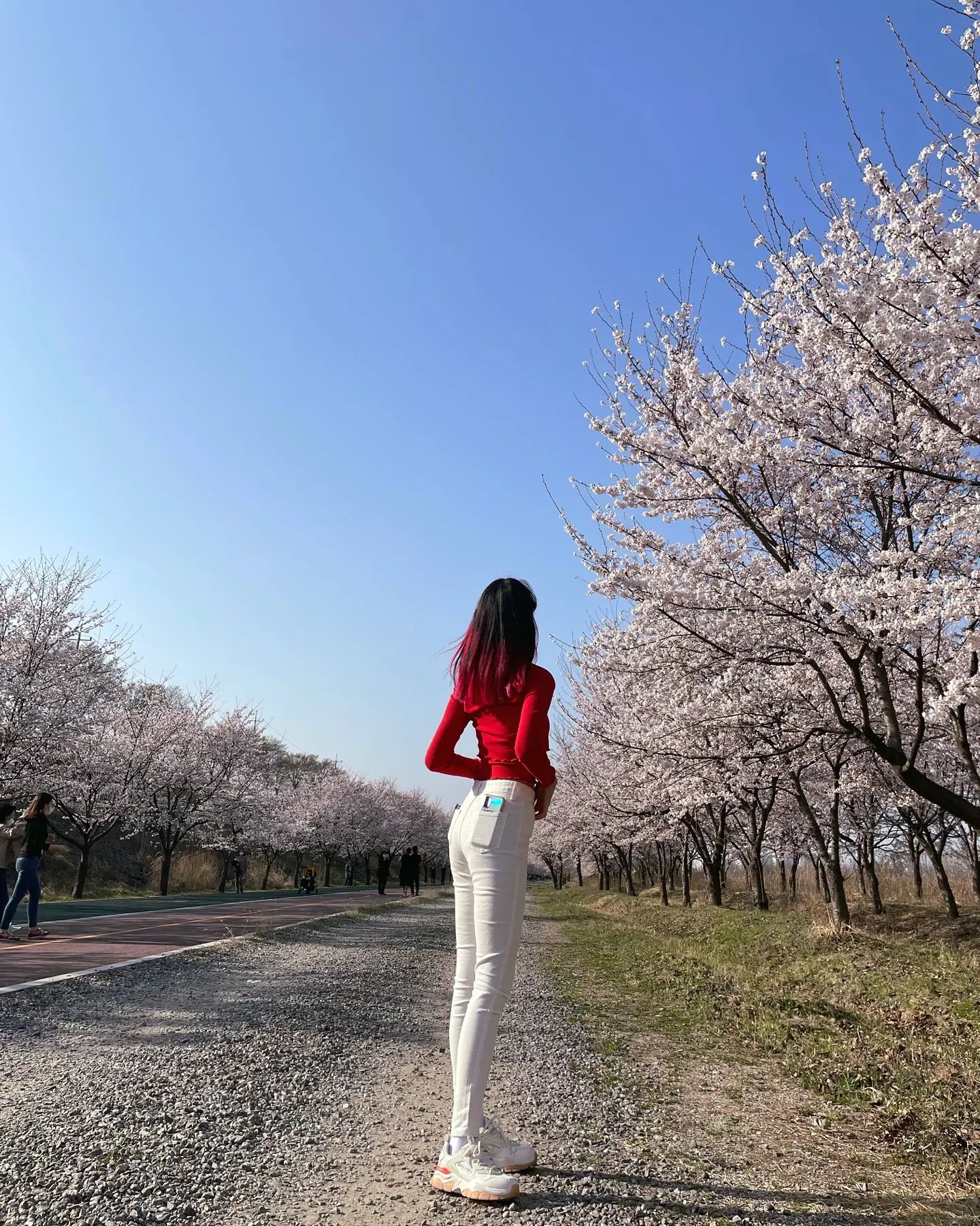 꽃구경🌸