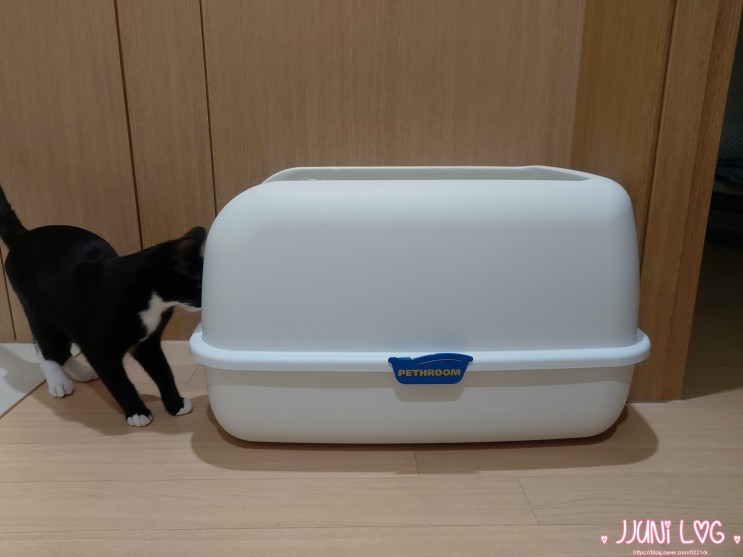 고양이대형화장실 페스룸 와이드커브리터박스 돔형이라 대만족!