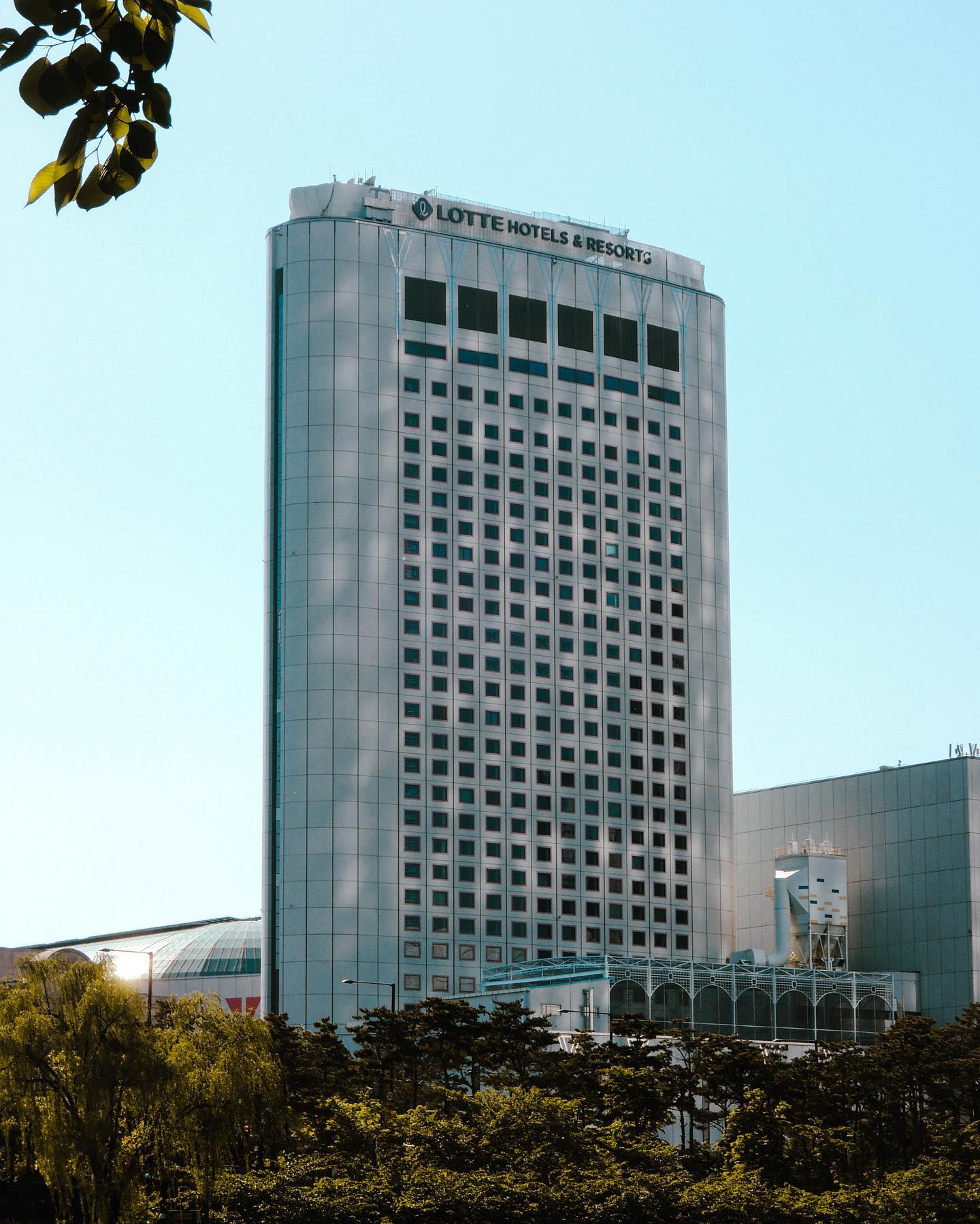 LOTTE HOTEL
.
.
.
#풍경 #풍경사진 #사진스타그램 #감성 #감성사진 #일상 #풍경 #하늘 #데일리그램 #일상스타그램 #인스타그램 #힐링 #취미 #구름 #꽃 #photo #photography #picture #instagood #instagram #instadaily #flowers #leica #photooftheday