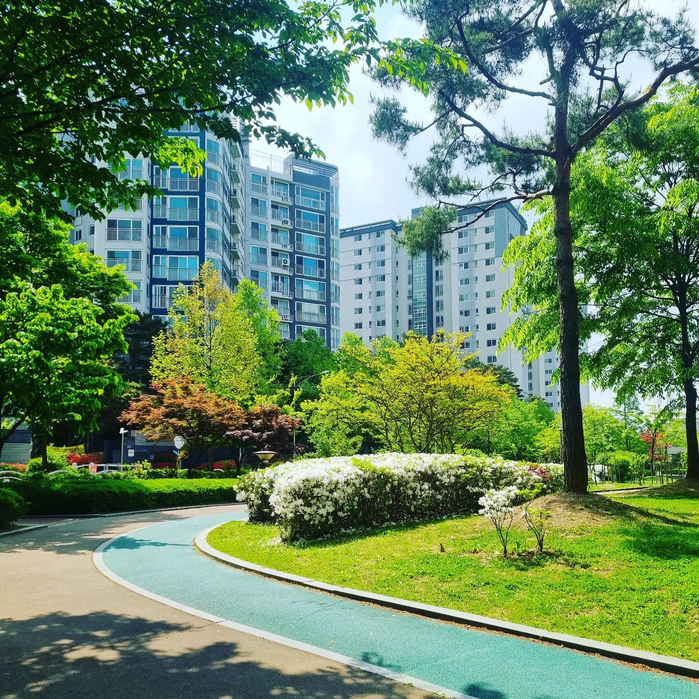 어느새 #초록초록 #산책