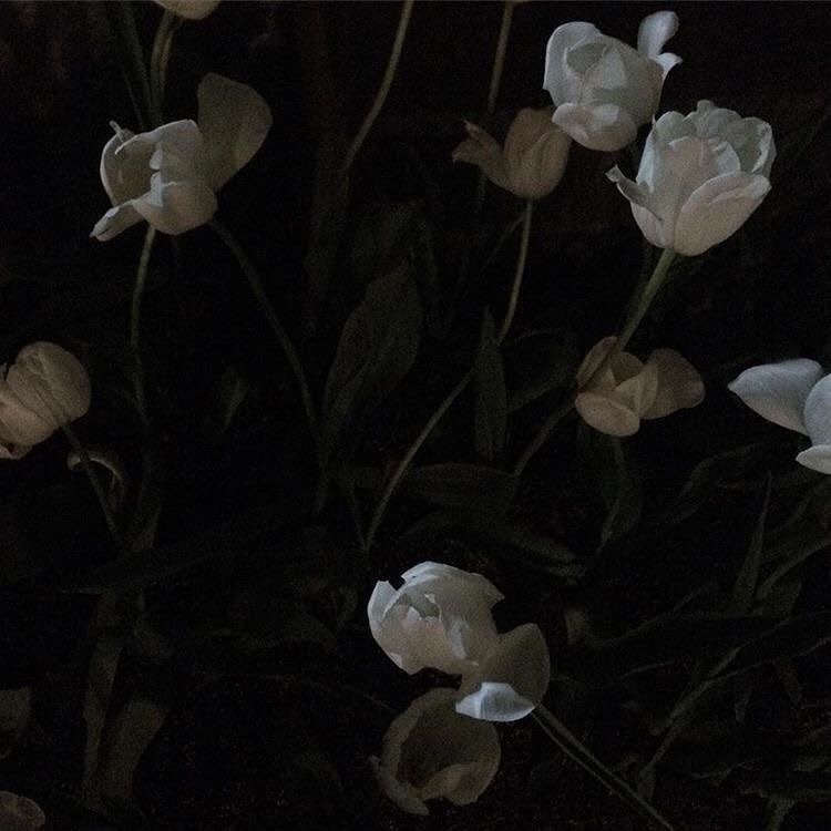 콘텐츠