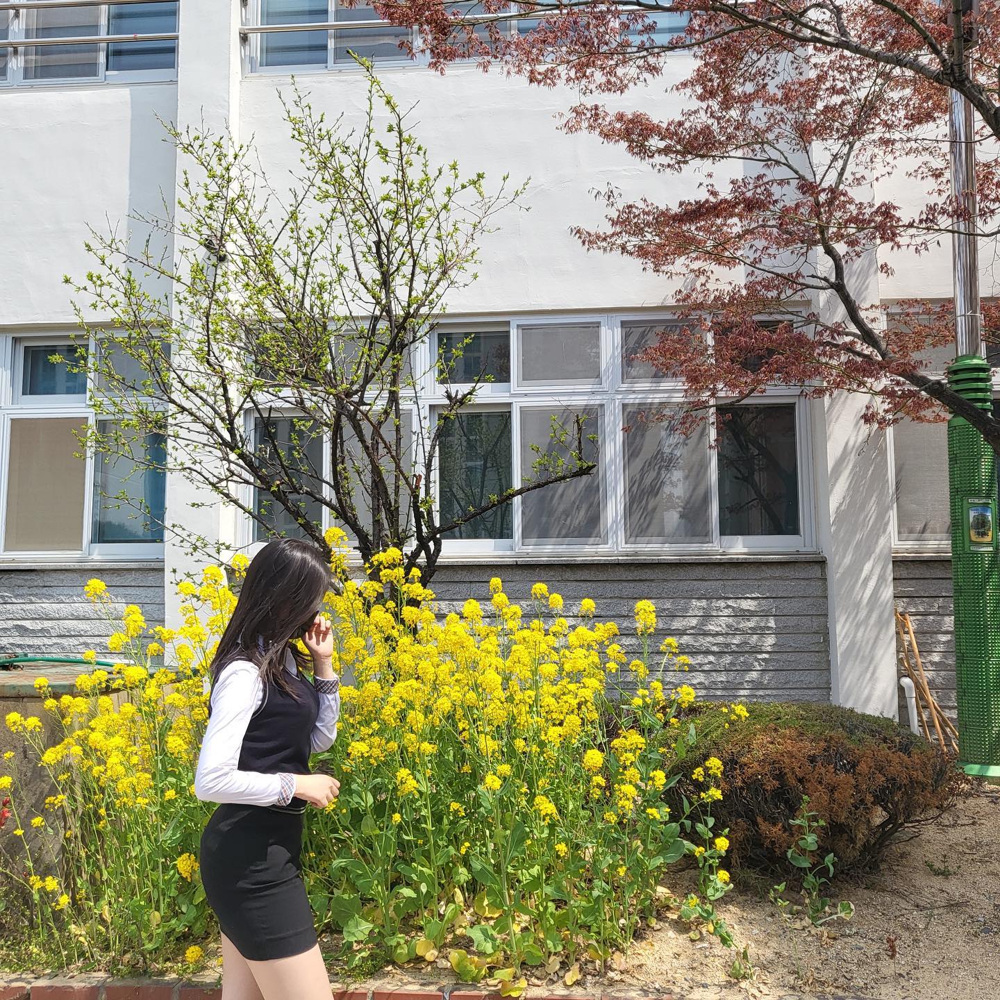 누가 꽃인건지 🌼🌼