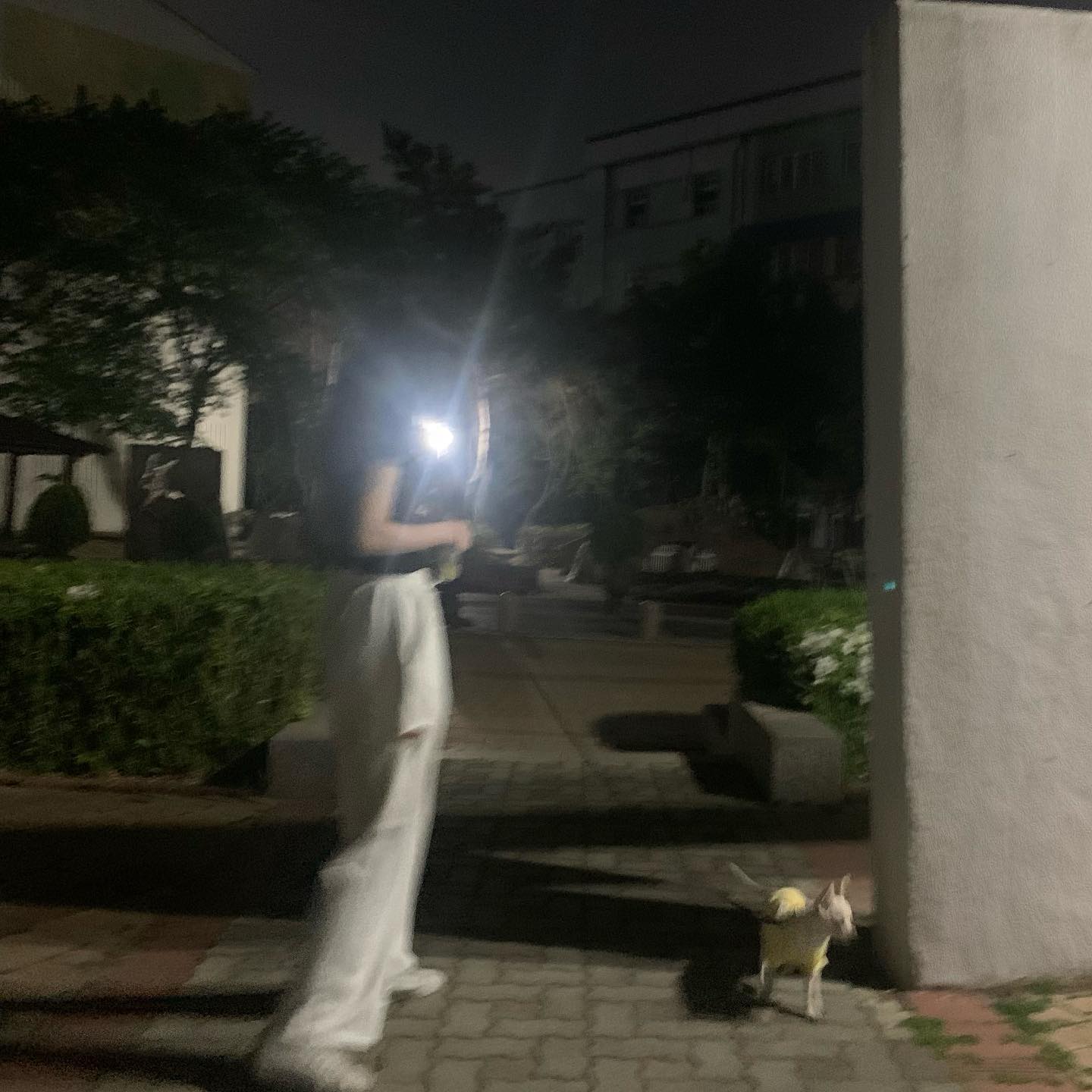 미아야 보구시퍼 ..😞🙏🏻