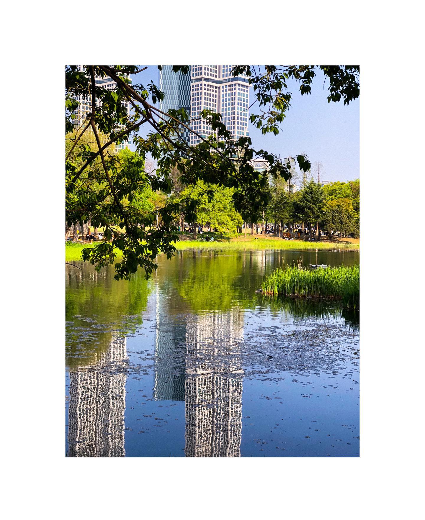 📸
서울숲 나들이