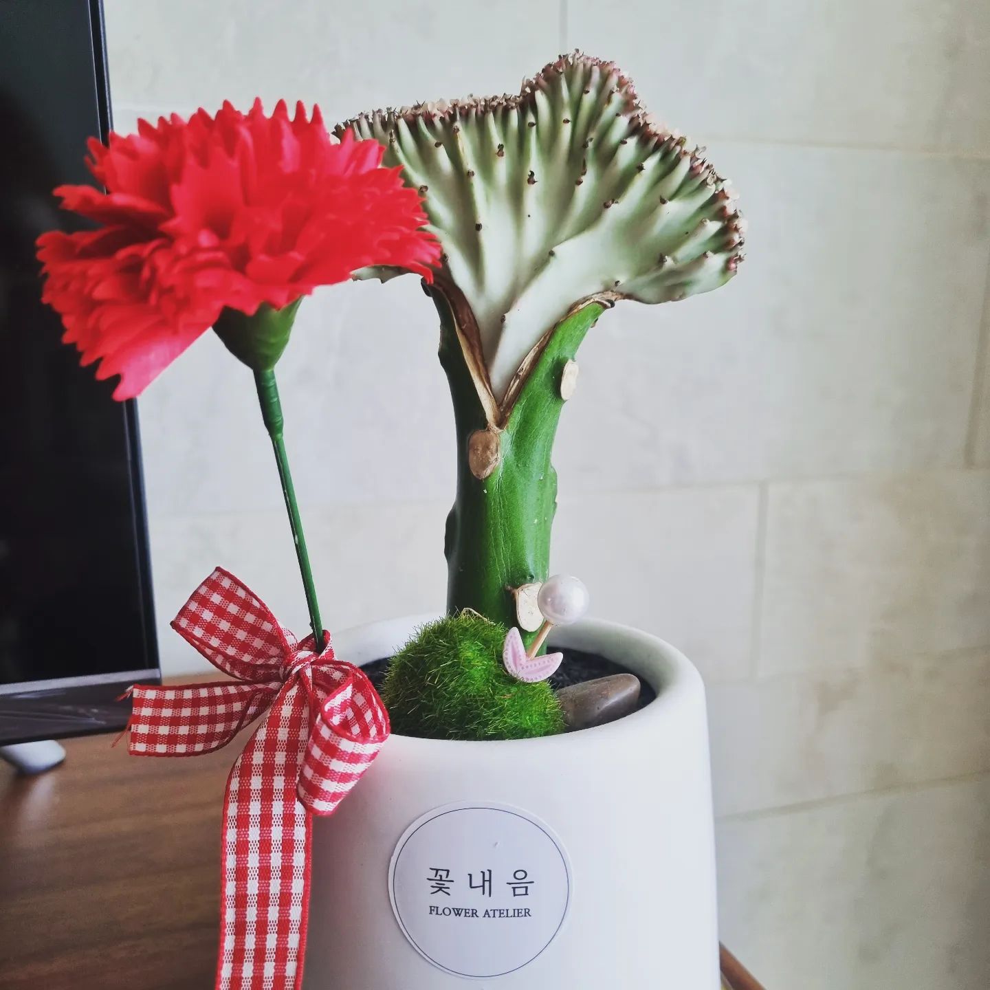 어버이날 맞이 새친구 #춘봉선인장 #고촌꽃집 #고촌꽃내음