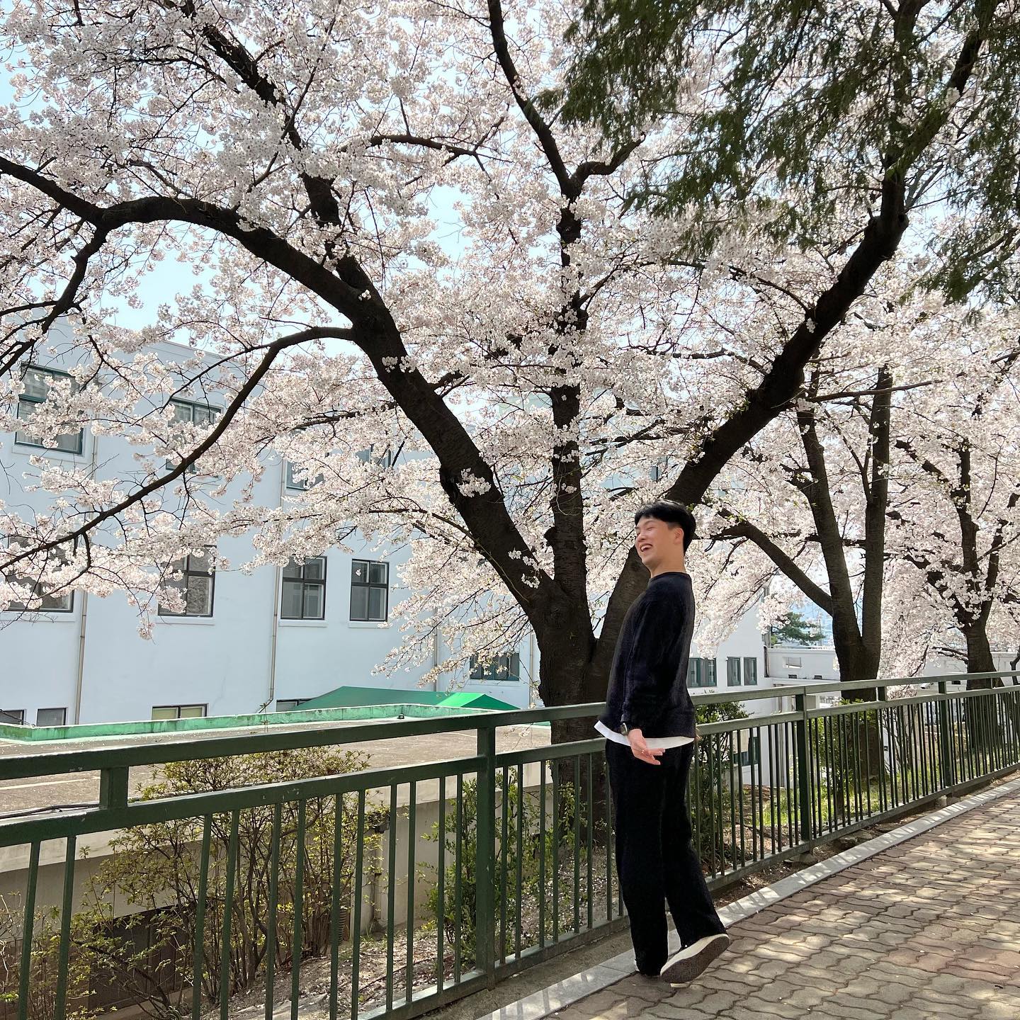 기부니 죠아요🤣