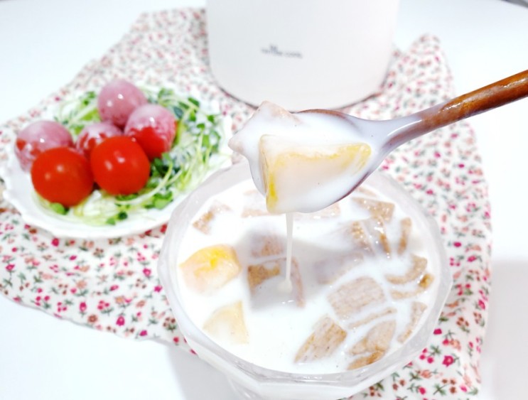 요거트메이커 퀸누스 제조기로 수제 플레인요거트 만들기 쉽고 맛있네