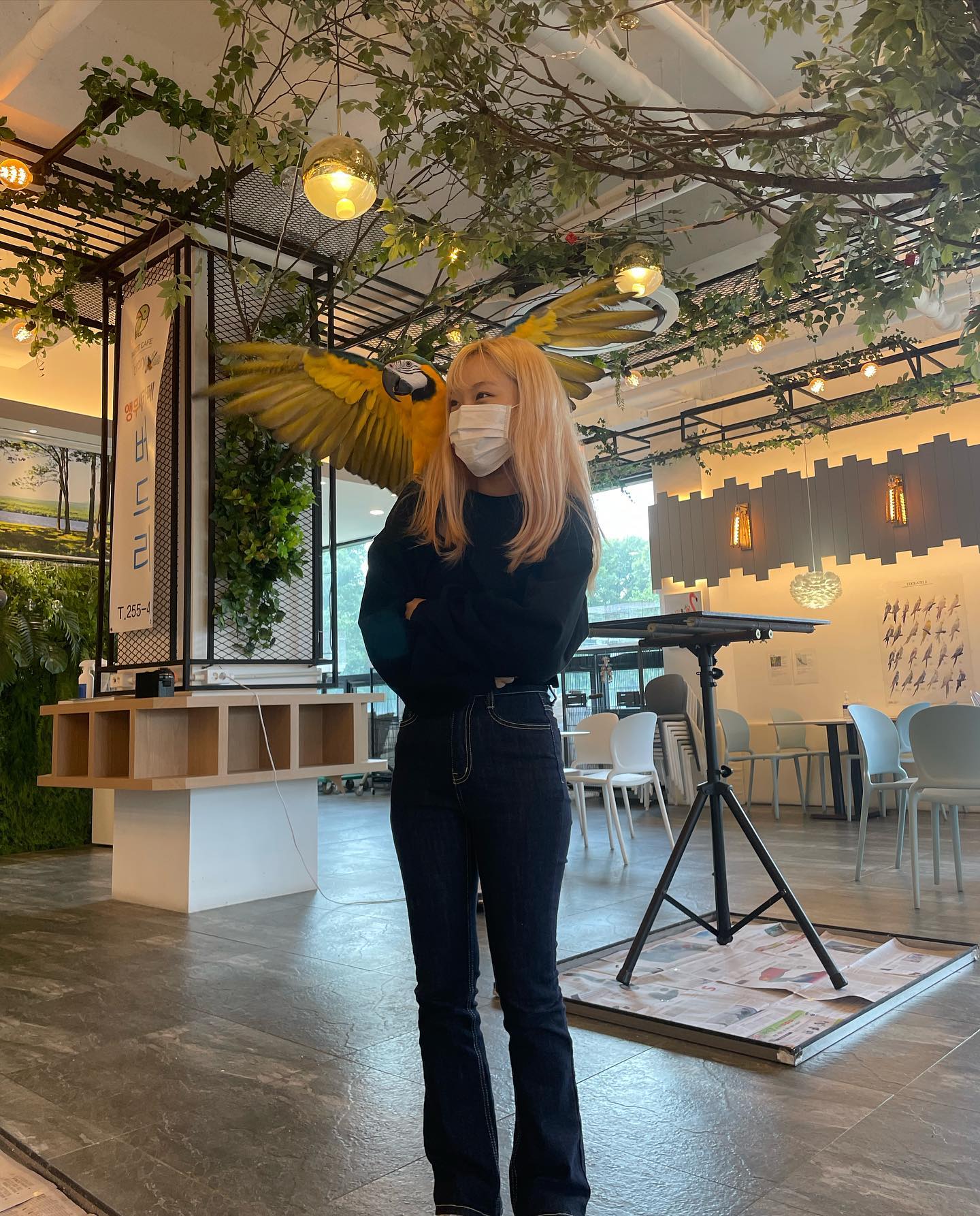 앵무마스터 🦜