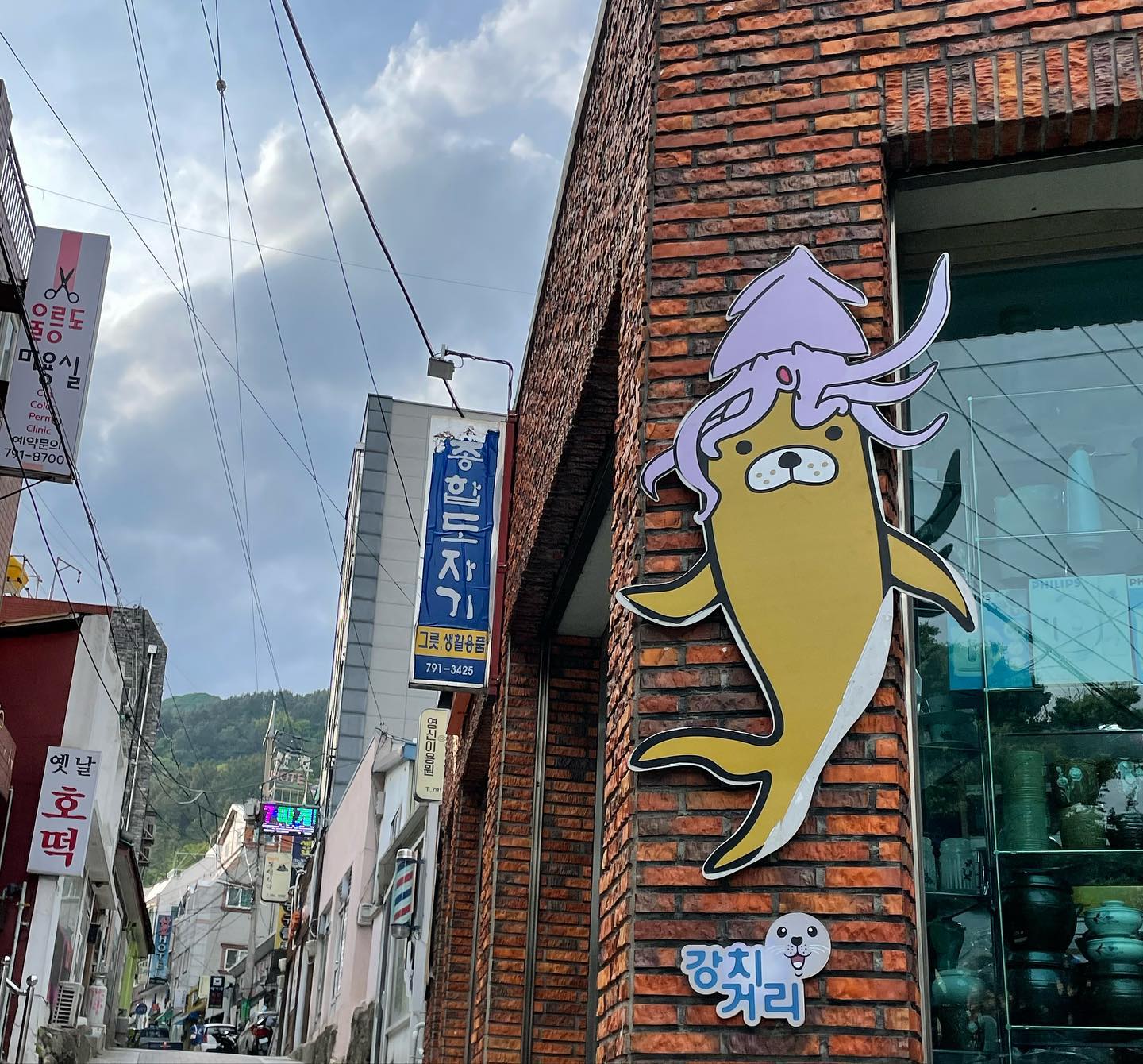 귀여운 강치 🦭