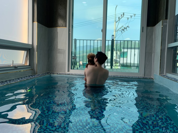 가평 애견펜션 무조건 재방문 더리조트멍