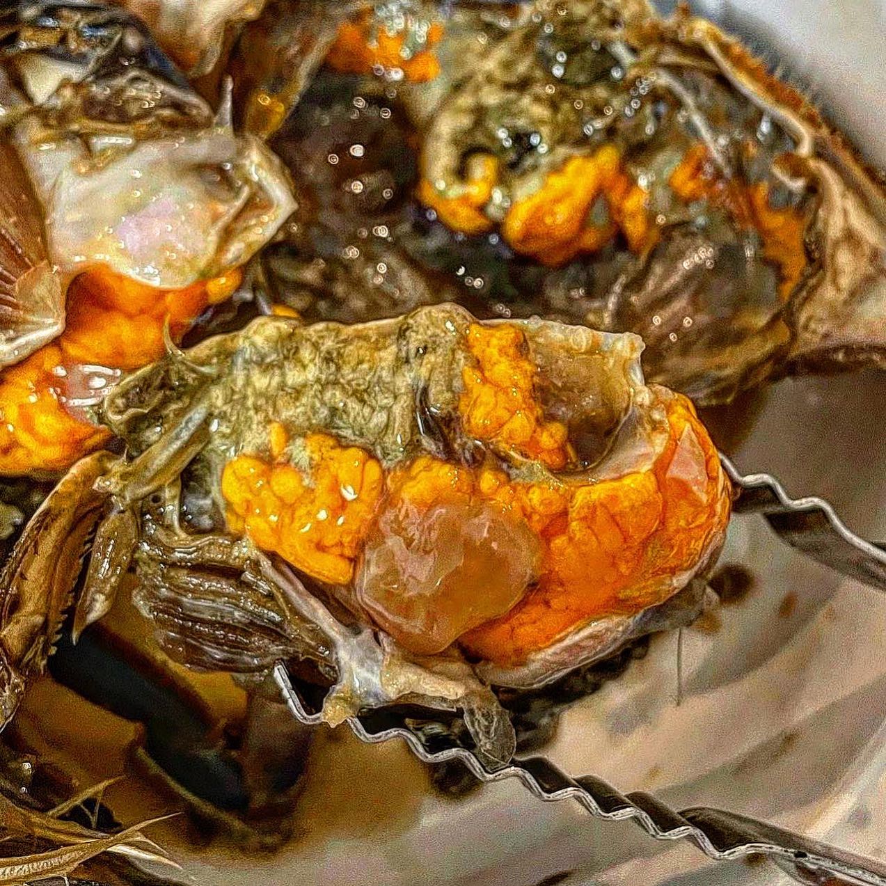 지영엄마표 #간장게장 🦀💗🦀💗🦀

자취생의 텅텅 빈 냉장고에 저희 어무니께서 엄청난 간장게장을 채워주고 가셨어요..💝💝

워낙 간장게장을 좋아하는데 혼자 게장집가기에도 부담스럽기도 하고 그래서 종종 배달로도 시켜먹곤 했는데요!!

맛은 있으나 어딘가 허전했었는데, 그게 집밥이 아니여서 그런가봐요 ㅋㅋㅋ

역시 항상 느끼는거지만 엄마가 해주시는 음식만큼 맛난건 없다는🥲

오랜만에 먹는 집밥이 참 맛있어서 행복한 휴일이였습니댜..❤️

정말 오랜만에 엄마음식 벨브열어버리니 시래기 된장국이랑 간장새우장이랑 고구마맛탕부터해서 먹고 싶은게 너무도 많네요😂😂

본가에 맛난거 사들고가서 해달라구 졸라봐야게써용 ㅎㅎ

이렇게 오늘도 행복했던 휴일 끄읕‼️‼️

#집밥 #집 #엄마 #엄마밥상 #집밥스타그램 #집밥메뉴 #집밥그램 #간장게장 #양념게장 #게장 #게장맛집 #우리집 #꽃게 #맛집 #추천 #엄마최고 #먹스타그램 #먹팔 #먹방 #맛있는음식 #먹스타 #먹스타맞팔 #먹부림 #밥도둑 #밥상스타그램 #자취스타그램 #먹스타그램🐷 #선팔하면맞팔 #선팔하면맞팔가요 #선팔환영