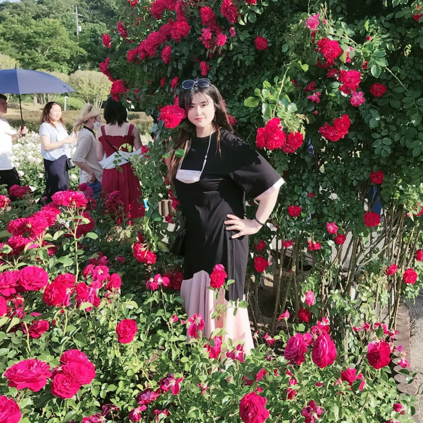#울산대공원장미축제 

내년에 또 보러 와야지🌹🌹
너무 이뻣던 색색의 장미들

#울산 #장미축제 #5월의장미