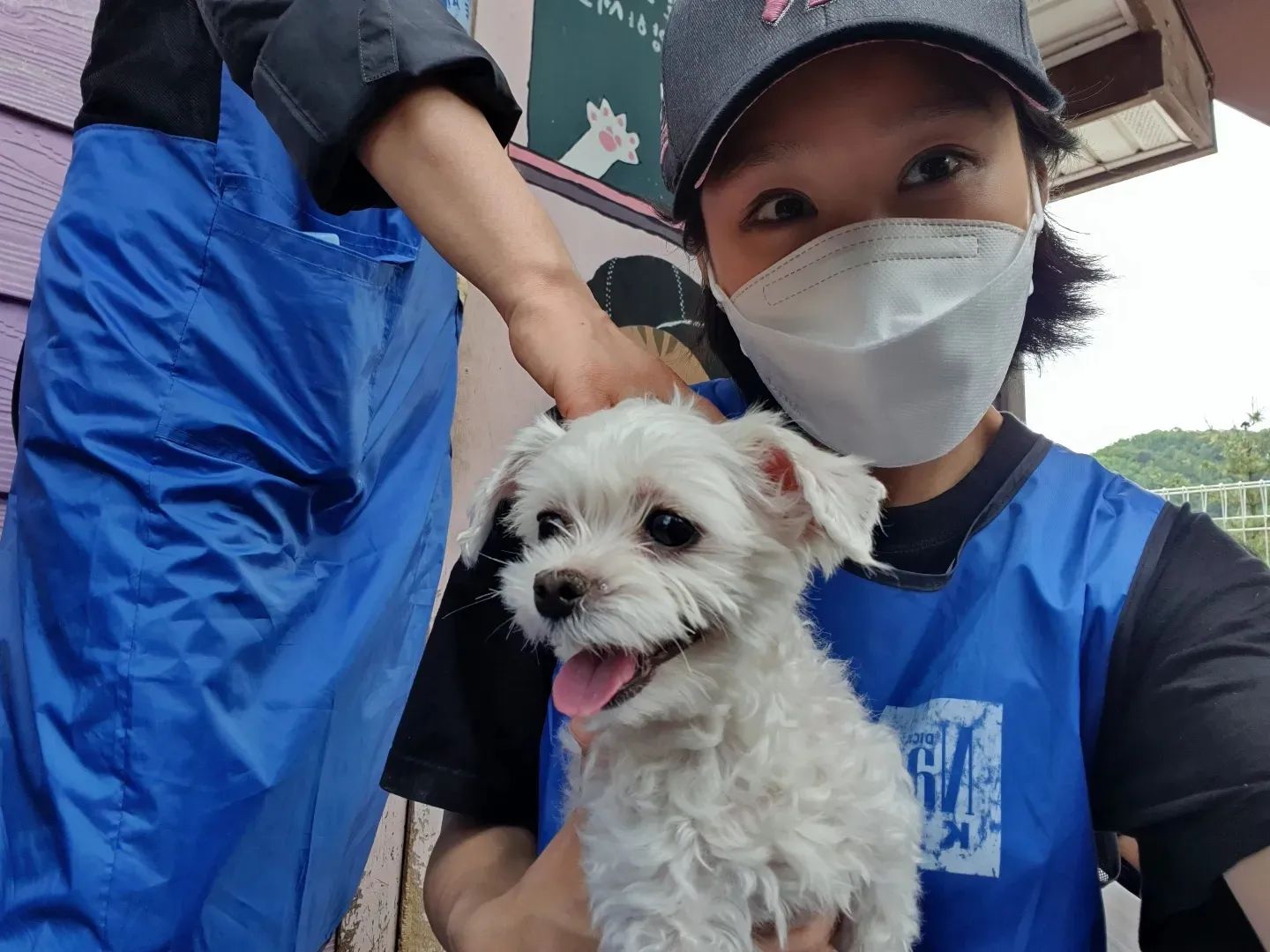 유기동물 돕기 챌린지에 참여해주세요!!!
반려동물을 안고있는 사진이나 오른쪽 손으로 심장에 손을 얹은 사진과 함께 친구를 3명 이상 태그해주세요!!!
심장사상충으로 고통받고 있는 유기동물들에게 도움을 줄 수 있답니다😍
.
.
.
늘 함께 봉사하는 멋진 내친구 kimmi_em
촬영하느라 바쁜 내친구 minguri__90
영원한 내짝꿍 ye_seulbi
.
함께해주세요...🥰❤
.
.
.
#세이브어스챌린지 #유기동물돕기 #유기동물돕기챌린지 #사지말고입양하세요 save_us_challenge #심장사상충 #경기도수의사회 #한국조에티스 #블루엔젤봉사단