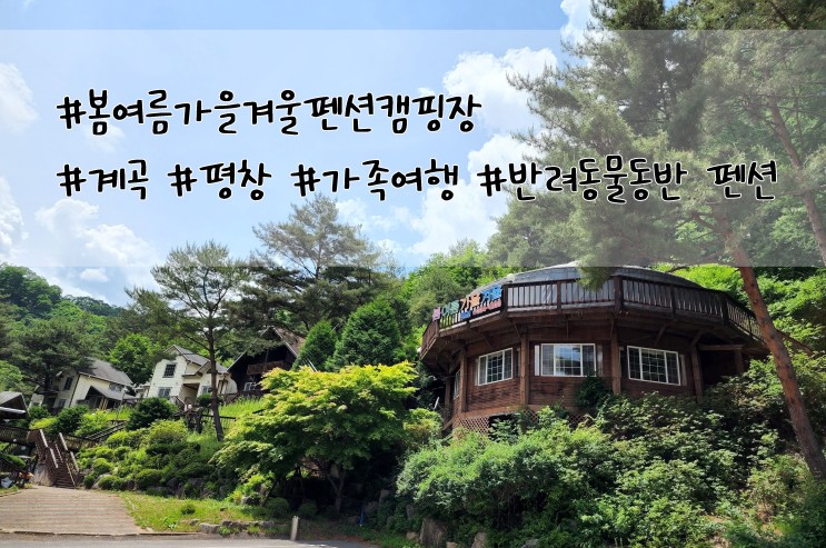 아이와 반려동물 동반 여행 평창펜션추천 봄여름가을겨울펜션캠핌장