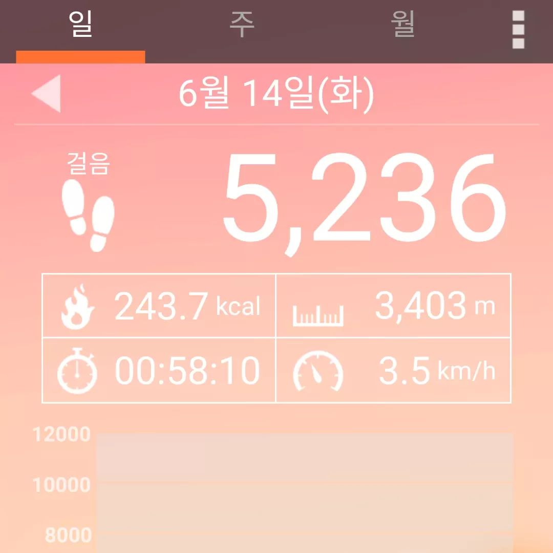 6월 14일 운동...