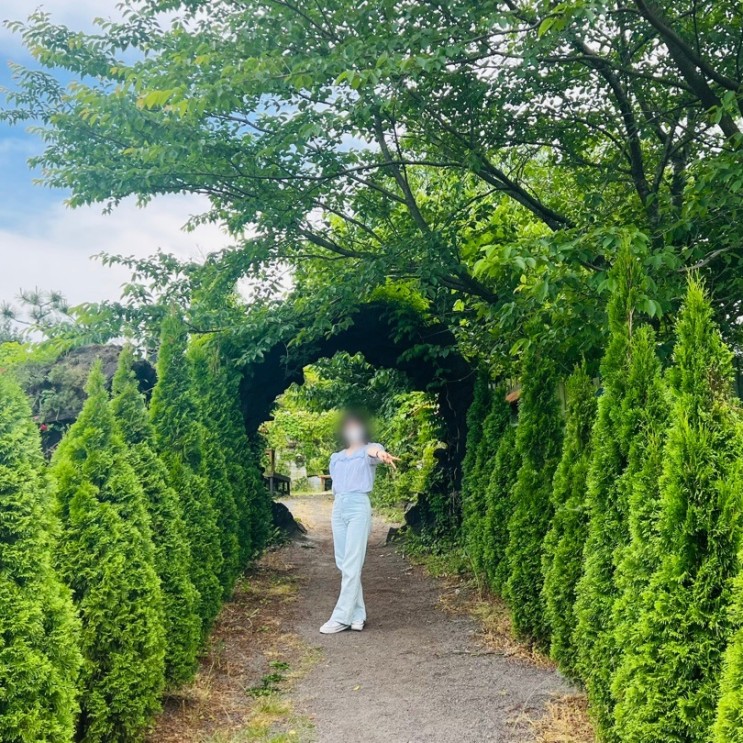 제주도 노형동 카페 혹돼지 잠봉뵈르 맛집 미스틱 3도 델리