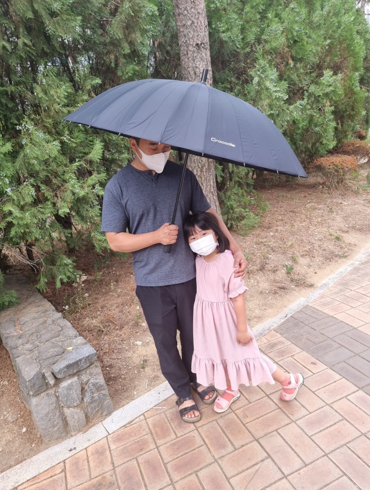 튼튼한 크로커다일 파스텔 예쁜 자동 장우산