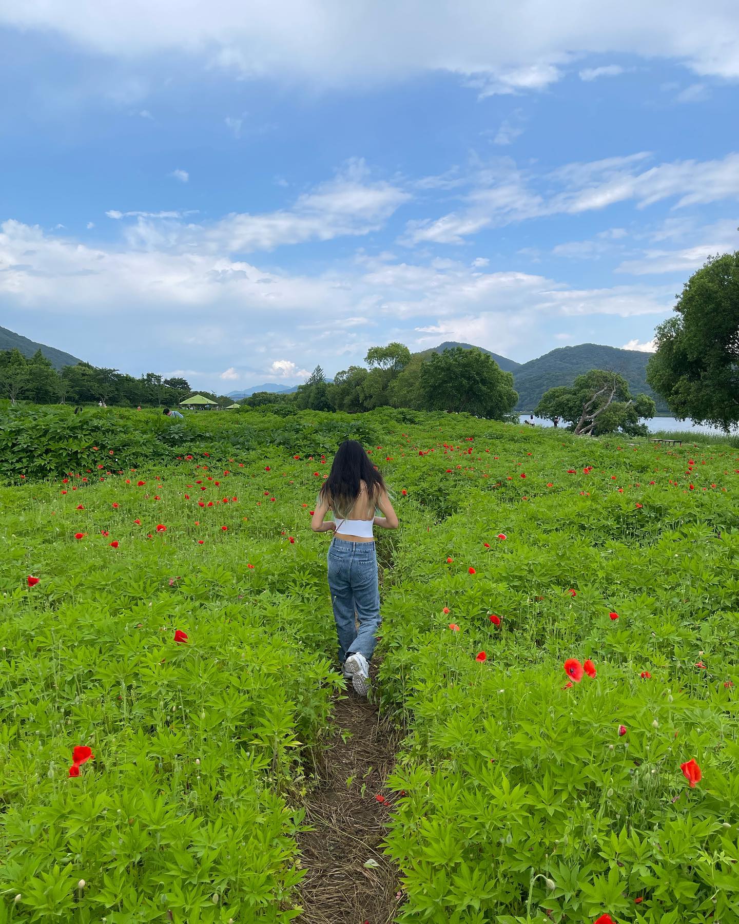 양귀비꽃과 나 ㅋㅋㅋㅋㅋㅋㅋ🥰🥰🥰🥰 #물의정원 #남양주 #양귀비꽃 #비왔었음 #남양주가볼만한곳 #korea #koreangirl #koreanfashion
