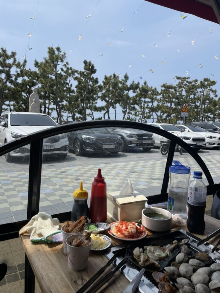 [대천 조개구이] 강아지랑 대천 여행하다가 조개구이 먹기 "마니마니 조개구이" (애견동반 조개구이, 조개구이 무한리필)