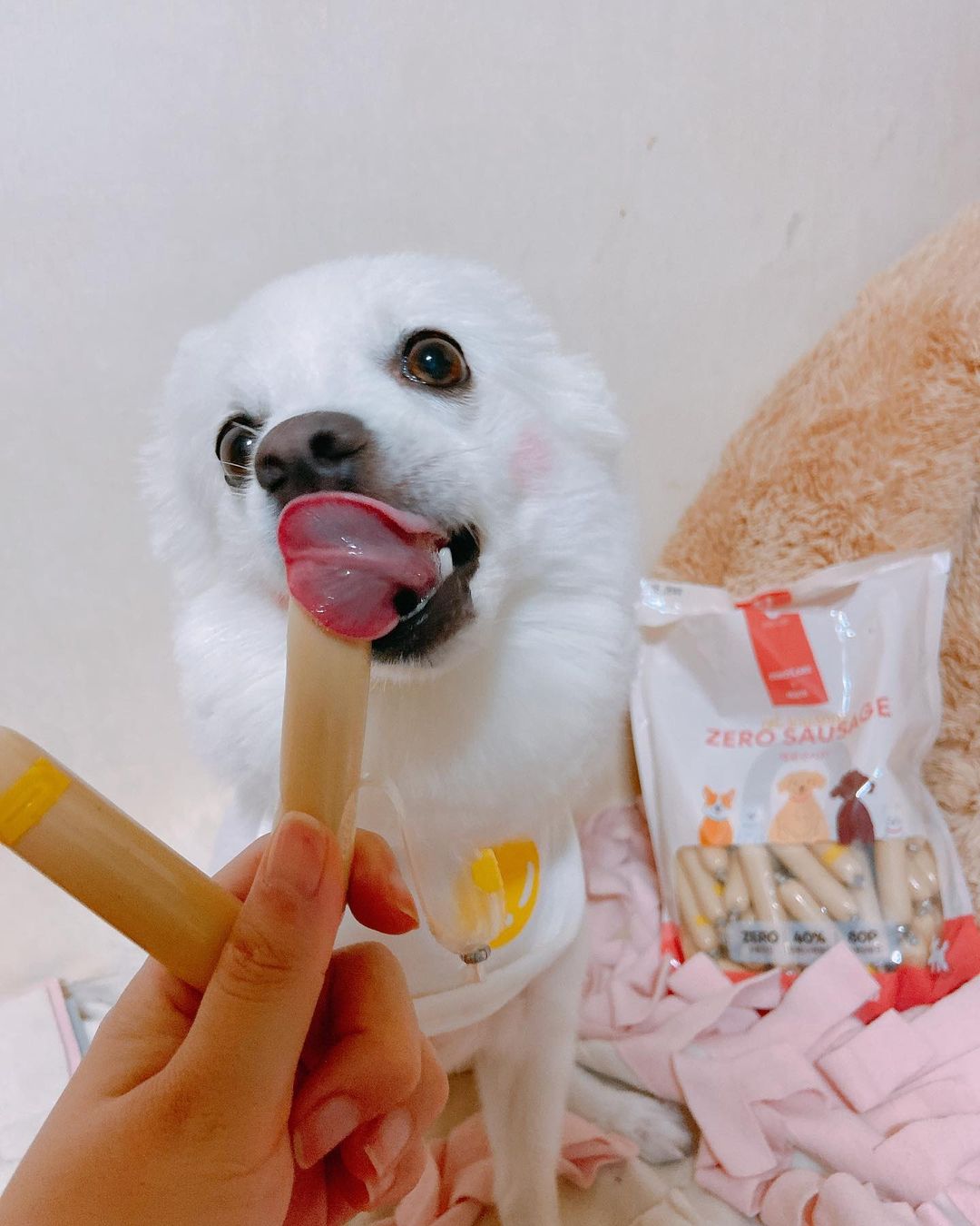 뽀아 on Instagram: “미호는 지금 소세지 홀릭중🐶 . 포장 뜯지도 않았는데도 냄새가 나는지 얼른 까달라고 짖고 난리(…) . #제로랩스간식 이 국내산 프리미엄 어육을 써서 그런지 기호성