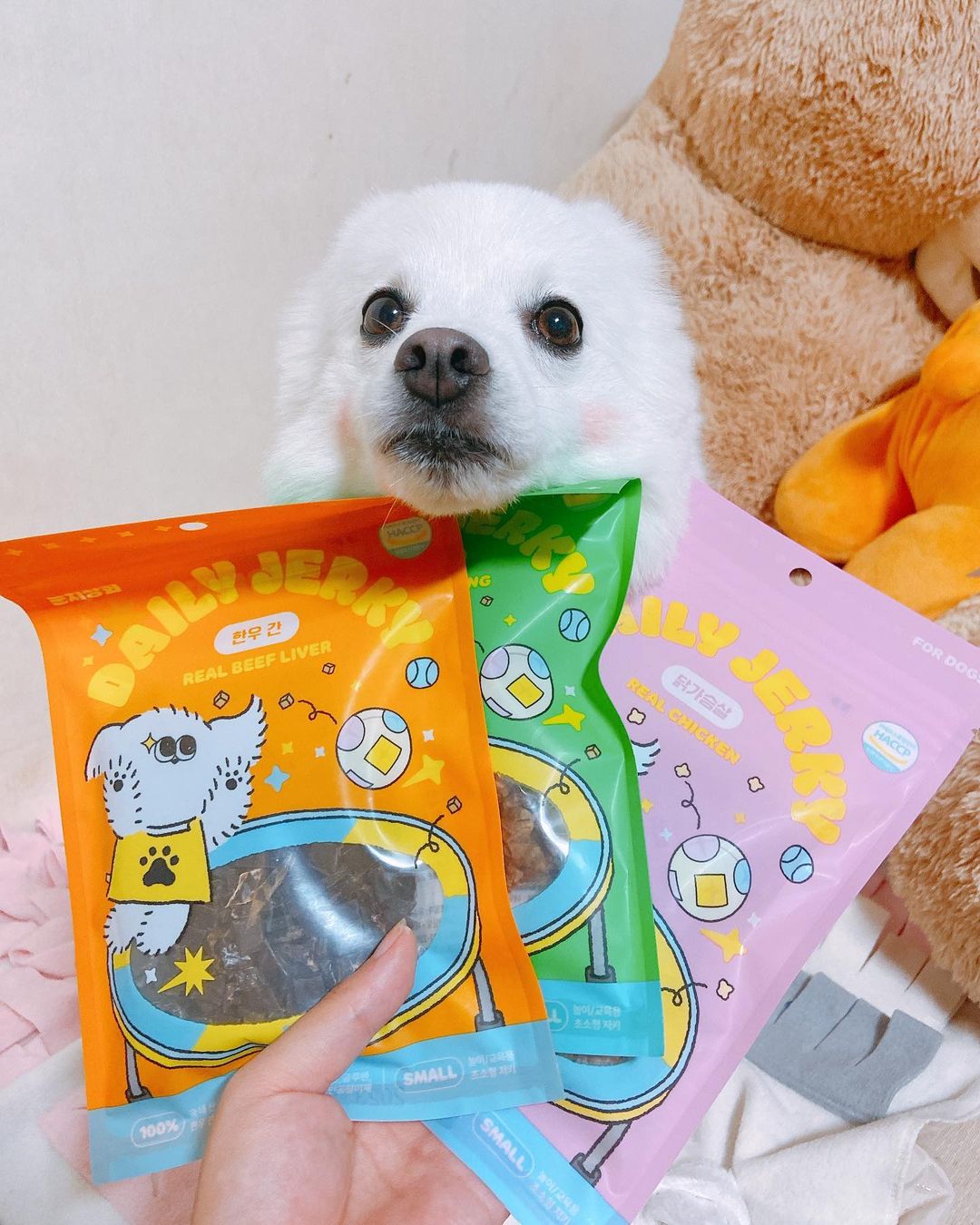 뽀아 on Instagram: “#광고 장마 시작으로 산책을 못하고 있는 미호를 위한 원육 그대로 동결시킨 고퀄리티 노즈워크전용 #눈치상회 육포간식을 모셔왔개🐶 . 미호야 너는 어떤 맛이 제일