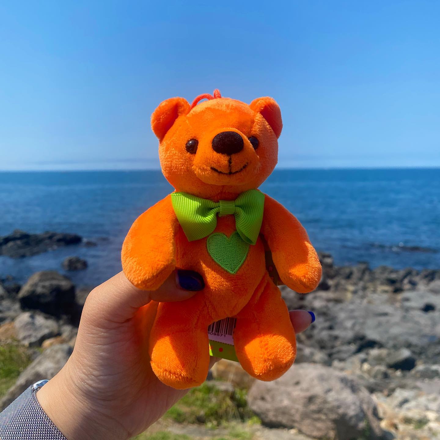 난 감귤 곰돌쓰 1살인디🧸