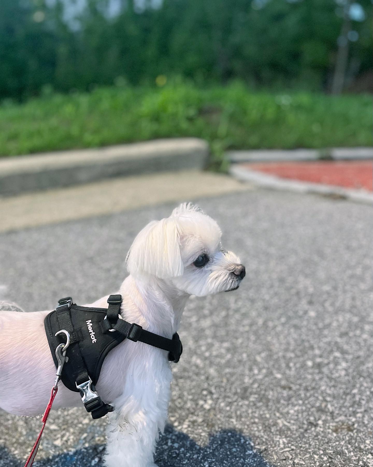 넘겨바🐶🧡