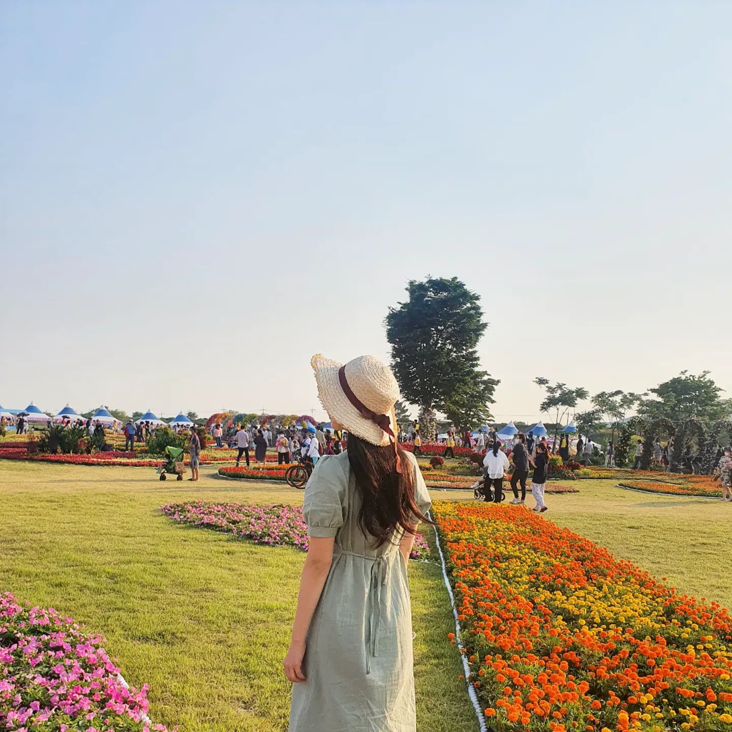 이상한 나라의 밀짚모자 소녀👒