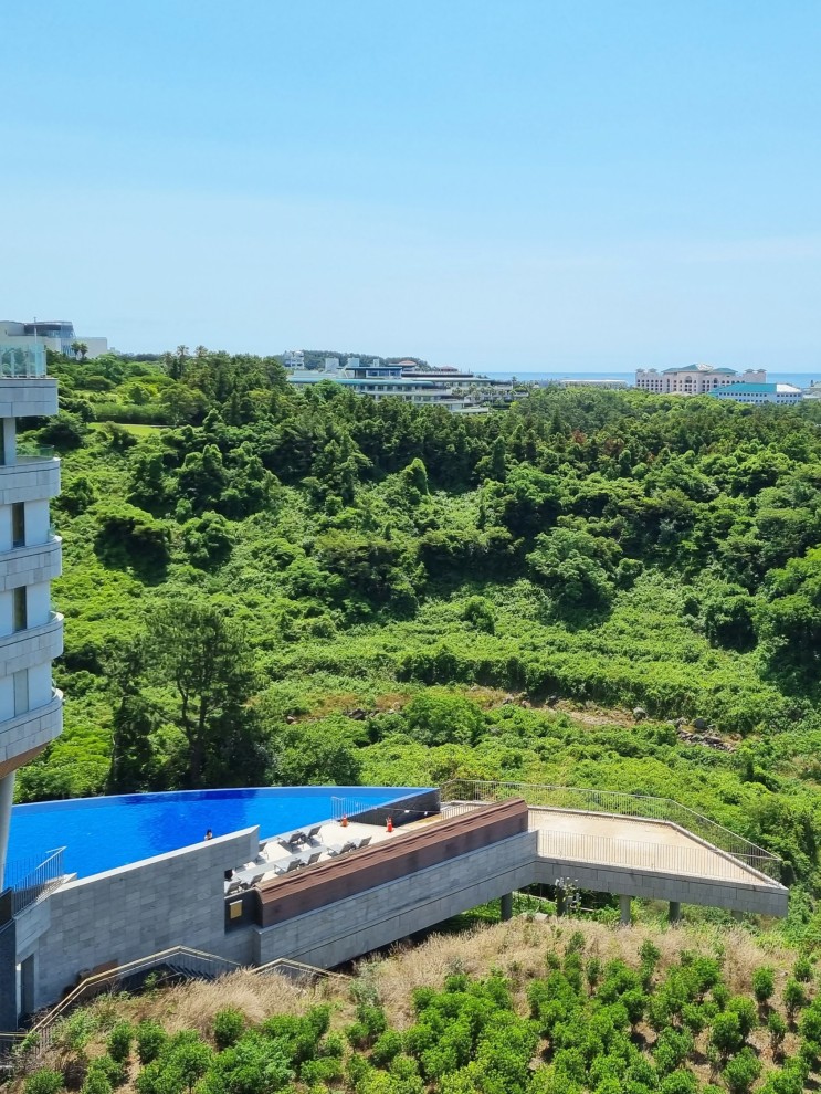 [제주도 호텔] 멋진 뷰에서 즐기는 인피니티풀! 제주 호캉스는 '히든클리프 호텔 & 네이처'