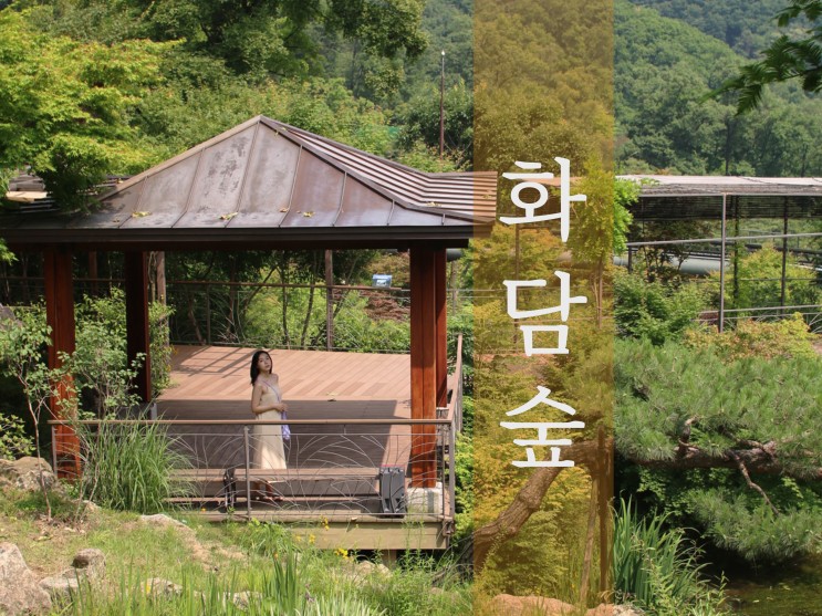 곤지암 화담숲 입장료 모노레일 가격