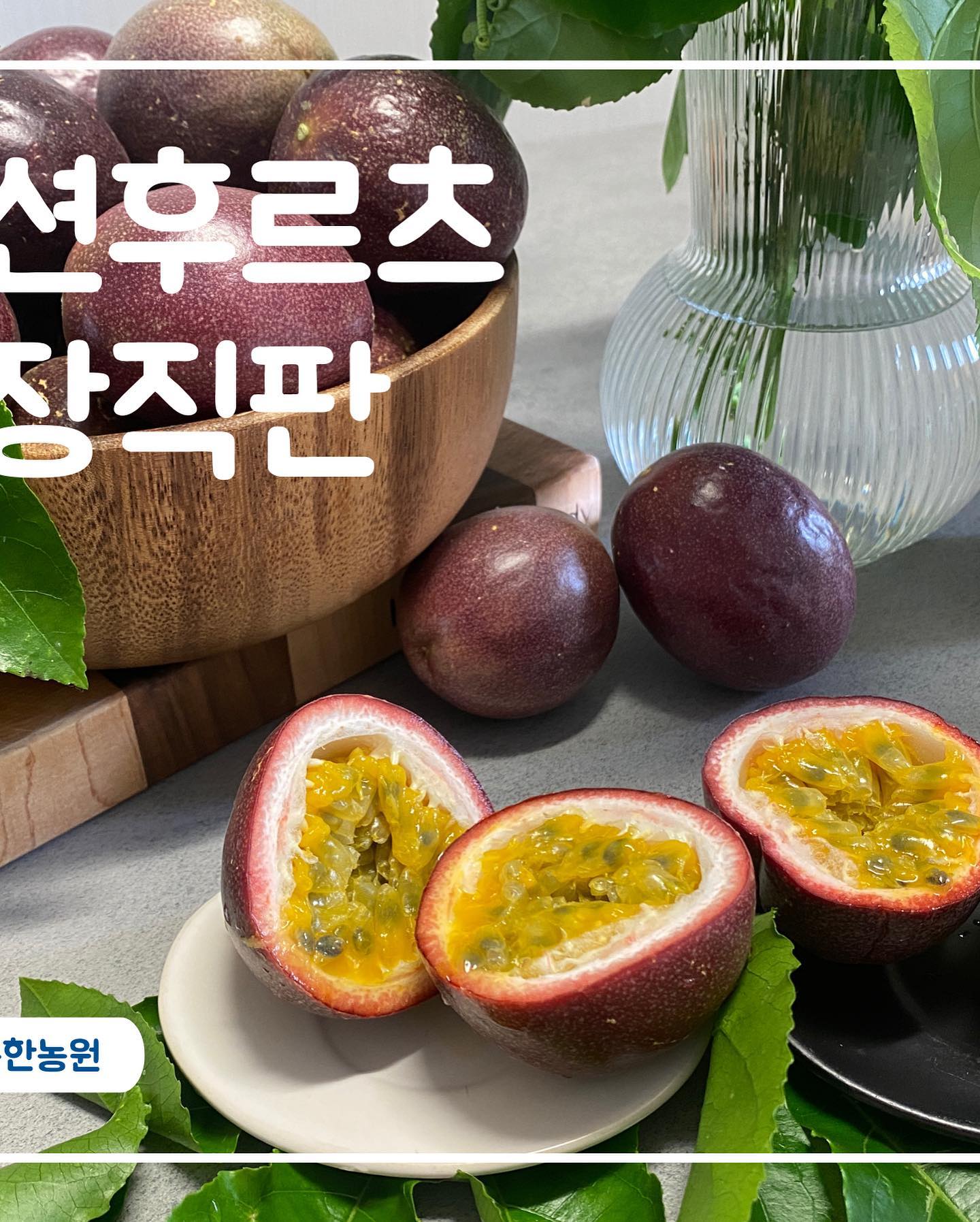 🌵여름백향과가 한창 출하중이예요! 새콤달콤 패션후르츠가 정말 맛있게 익어가고 있는 요즘 백향과로 하루를 상큼하게 시작하니 기분이 좋네요^^기운빠지는 여름엔 백향과가 쵝오!!제철과일 백향과는 그냥먹어야 제맛!!
백가지 과일향과 맛이 하루를 힘차게 시작하는 힘이되는 하루네요 행복한 하루 되세요.

📌새콤달콤 당도도 좋고 맛은 더 좋은 패션후르츠 

부모님께서 직접 농사 지으시고  주문과 동시에 수확해서 산지에서 바로 배송되는 백향과라 신선한 백향과를 택배로 받아 보실수 있어요.

오늘 보내는 택배 입니다.
하나하나 살피고정성스럽게 포장해서 보내드려요.

📌중.대과혼합 -1kg. 15.000원 
  5만원 이상 택배비 무료 (택배비:3000원)
📌특과는 마감 되었습니다^^ 성원에 감사드려요.

📞문의는 010-4919-6081
  010-3481-6081 편하실때 연락 주세요.

✔️ 477015-56-041441 농협
  한정순
✔️ https://m.smartstore.naver.com/chocho_in_florence?

#백향과택배#패션후르츠택배#백향과농원#신선한백향과#서산행복한농원#패션후르츠먹는방법#백향과생과#패션후르츠생과#패션후르츠먹는방법#백향과먹는방법#백향과생과#패션후르츠생과#백향과생과택배#패션후르츠생과택배#당뇨과일#임산부과일