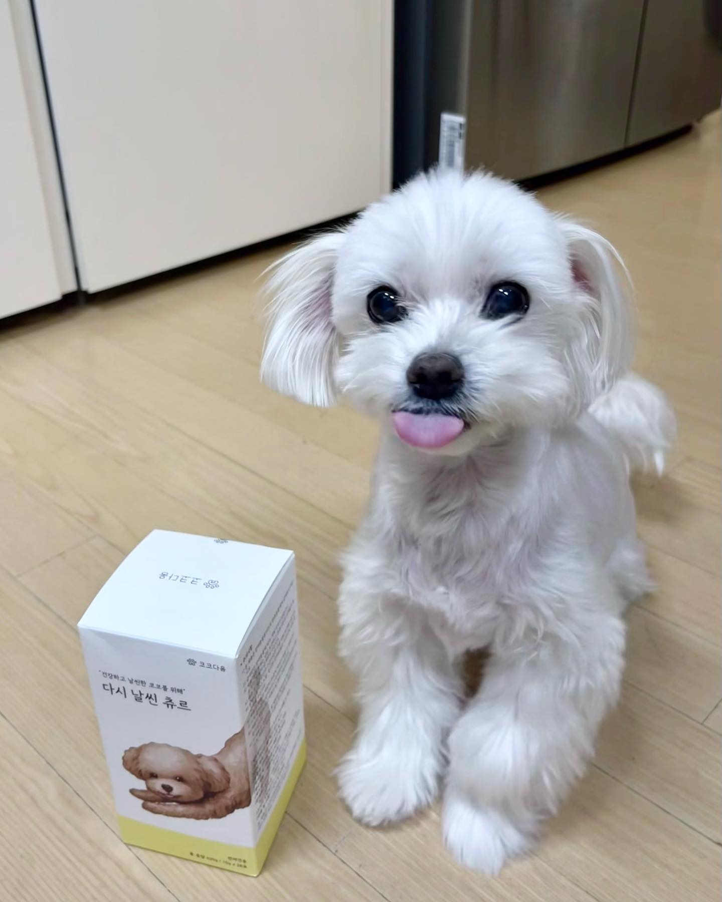 #협찬

 복실이가 코코다움에서 다시날씬츄르를 선물받았어요 🎁
코코다움 다시날씬츄르는
▫️체중 조절 도움 대표 원료인 <가르시니아 캄보지아> <L-카르니틴>을 사용하여 다이어트에 도움을 줘요
▫️단호박과 한천으로 만들어져 고구마,사과,바나나 등의 과일보다 포만감은높지만 칼로리는 더 낮아요
▫️ 필수 비타민과 미네랄로 영양 불균형 방지에 도움을 줘요
▫️유산균이 함유되어있어 원활한 배변활동에 도움을 준다고 해요
▫️인증된 제조 시설에서 위생적이고 안전하게 만들어 믿고 먹을 수 있어요
복실이가 노령견이다보니 건강한 체중을 유지해야하는데 일주일동안 간식대신 급여해본결과 100g감량에 성공했어요😊 코코다움 고마워용🫶

#협찬 #코코다움 #다시날씬츄르 #강아지간식 #강아지다이어트 #강아지다이어트사료 #고양이간식 #고양이다이어트 #고양이다이어트사료