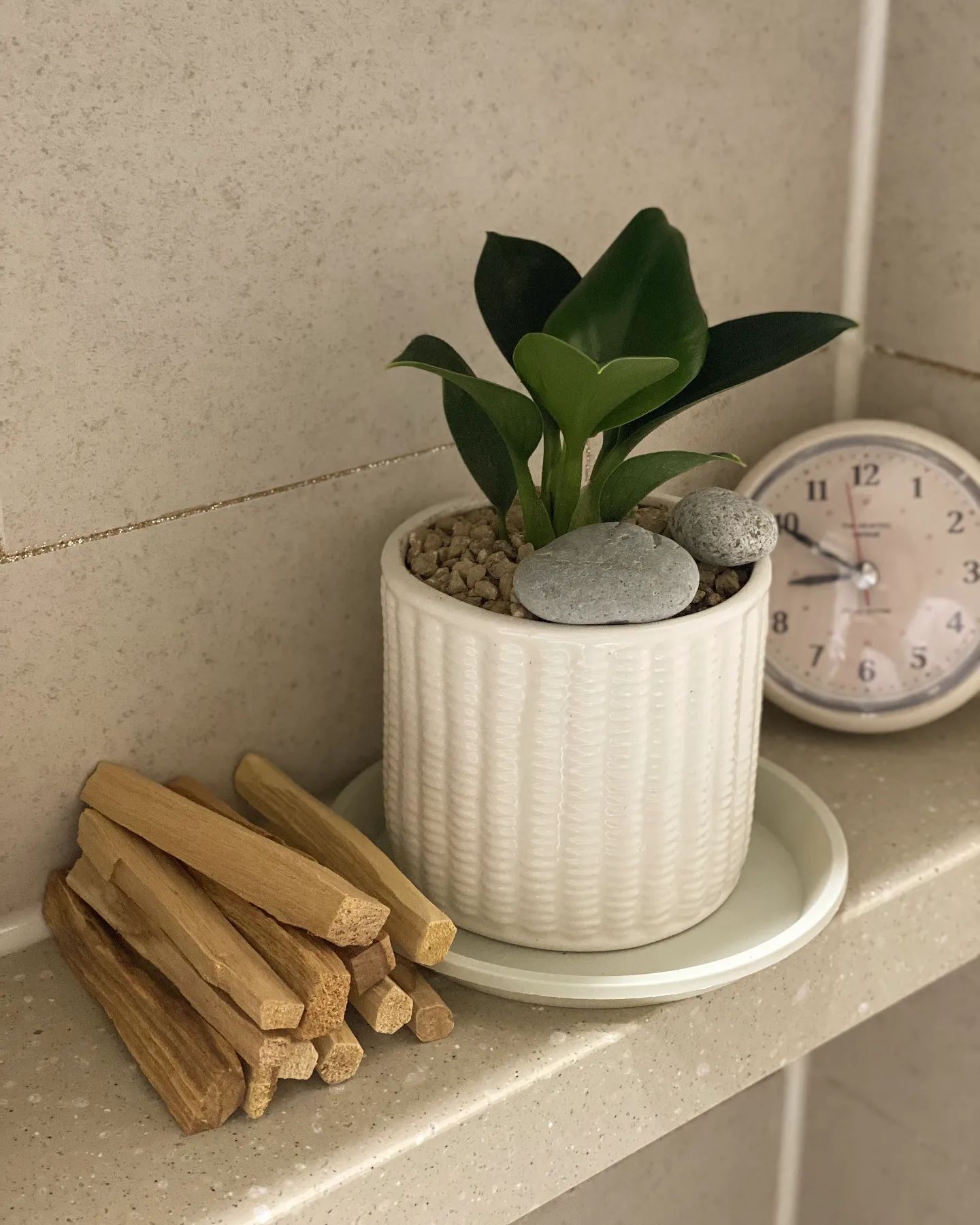 자연의 향으로 채우는 bathroom🌿

화장실에 향기없으면 안되는 사람인데 팔로산토 놓으니 은은한 향이 퍼져나간다