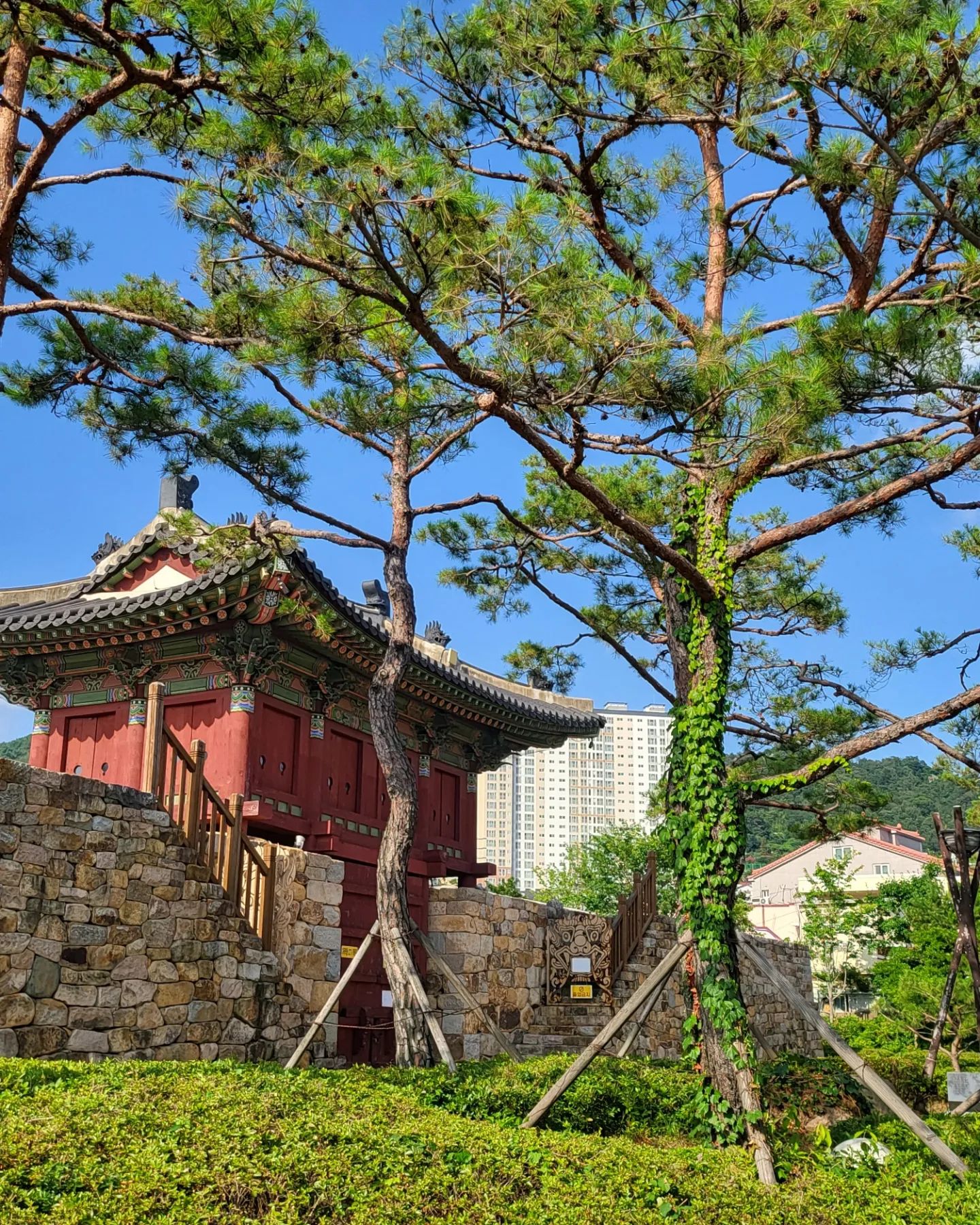 우리집 앞,. 오늘도 푸른 하늘, 기분도 푸르다.