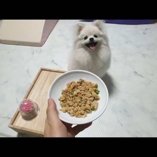 💜쉐리💜 on Instagram: "#협찬 견생 첫 화식을 맛 본 쉐리💜 키친포독에서 쉐리네로 맛있는 집밥을 선물 받았어요. 사람들이 화식이 좋다좋다하길래 궁금했는데, 좋은 기회가 생겼지말이죠?!