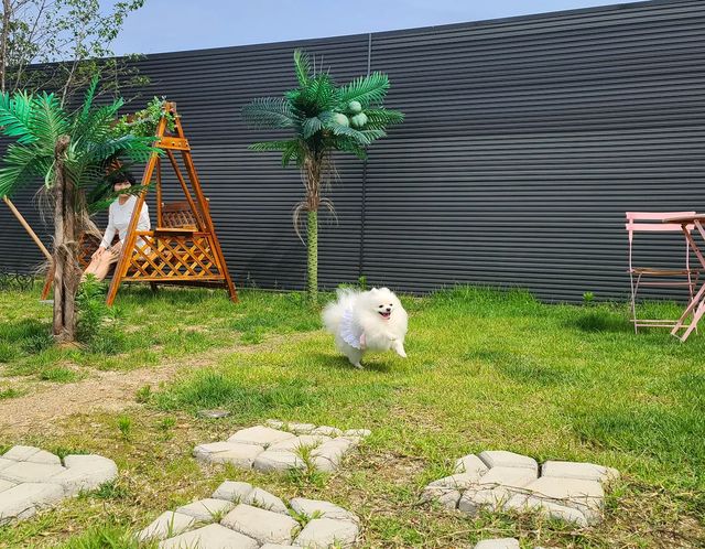 💜쉐리💜 on Instagram: "퐁퐁퐁~ 가족들이랑 쉬러 고성에 왔다개💗 작년에 친구들이랑 임오들이랑 왔을때 좋았어서 울 언니가 또 데려왔다멍👻) 오나마자 펜션 사장님 선물 준비해주셔서