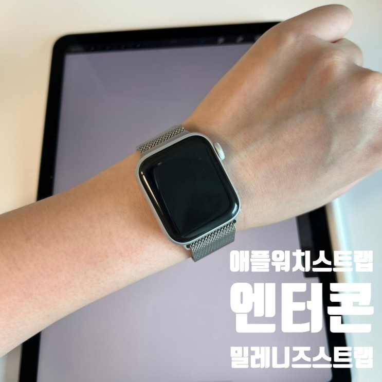 [제품리뷰] 엔터콘 애플워치 스트랩 밀레니즈 스트랩(메탈) 추천