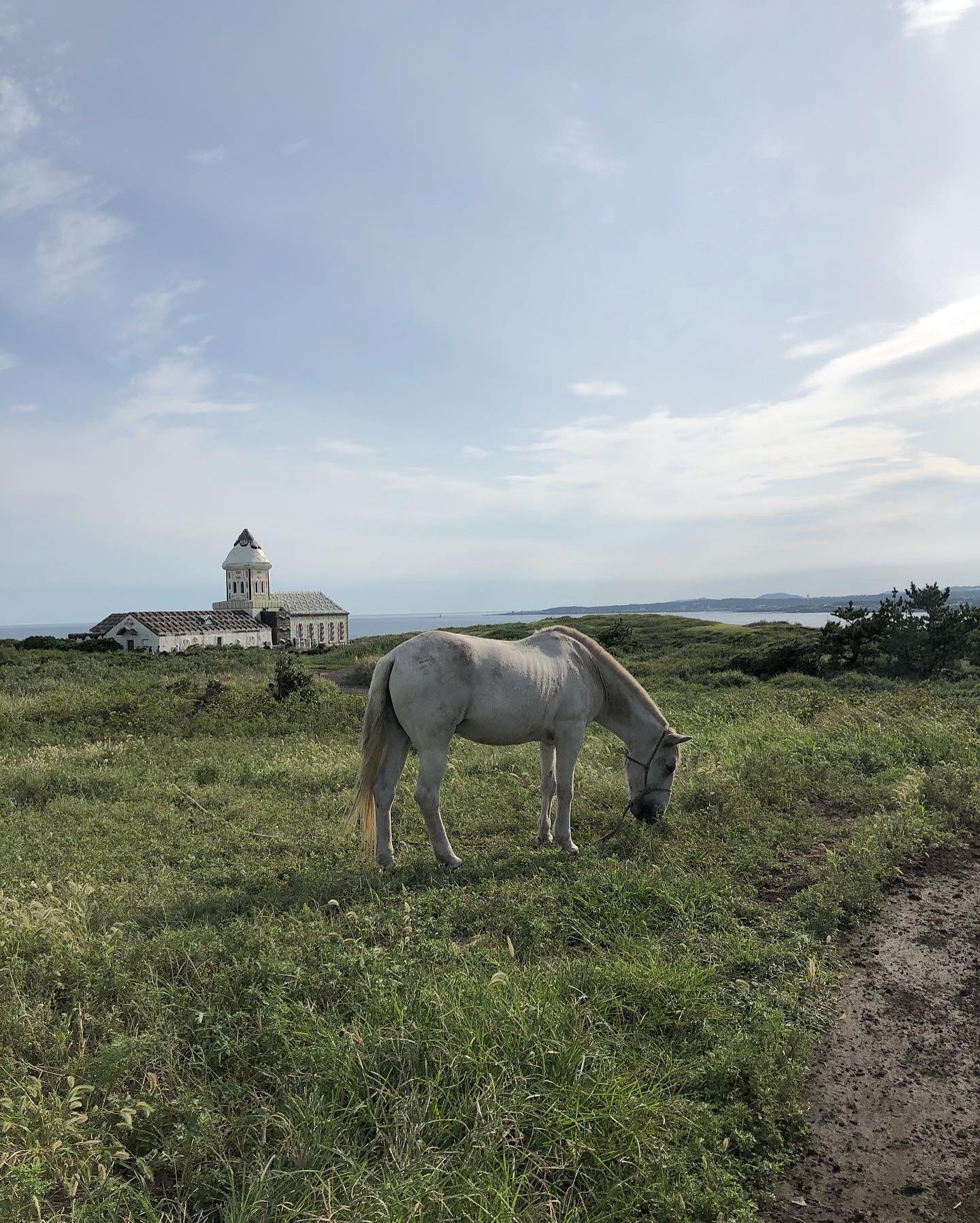 🐎