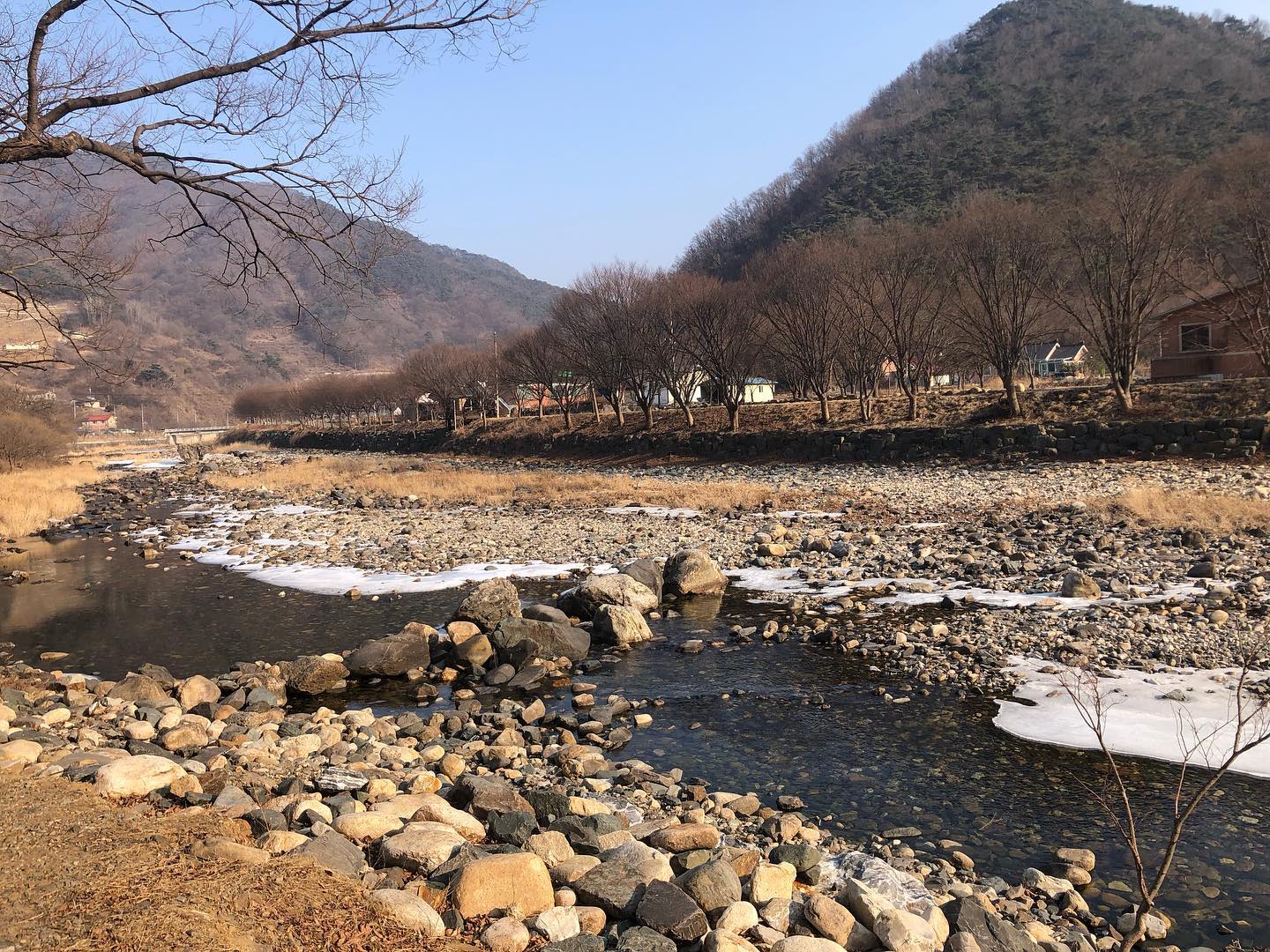 콘텐츠