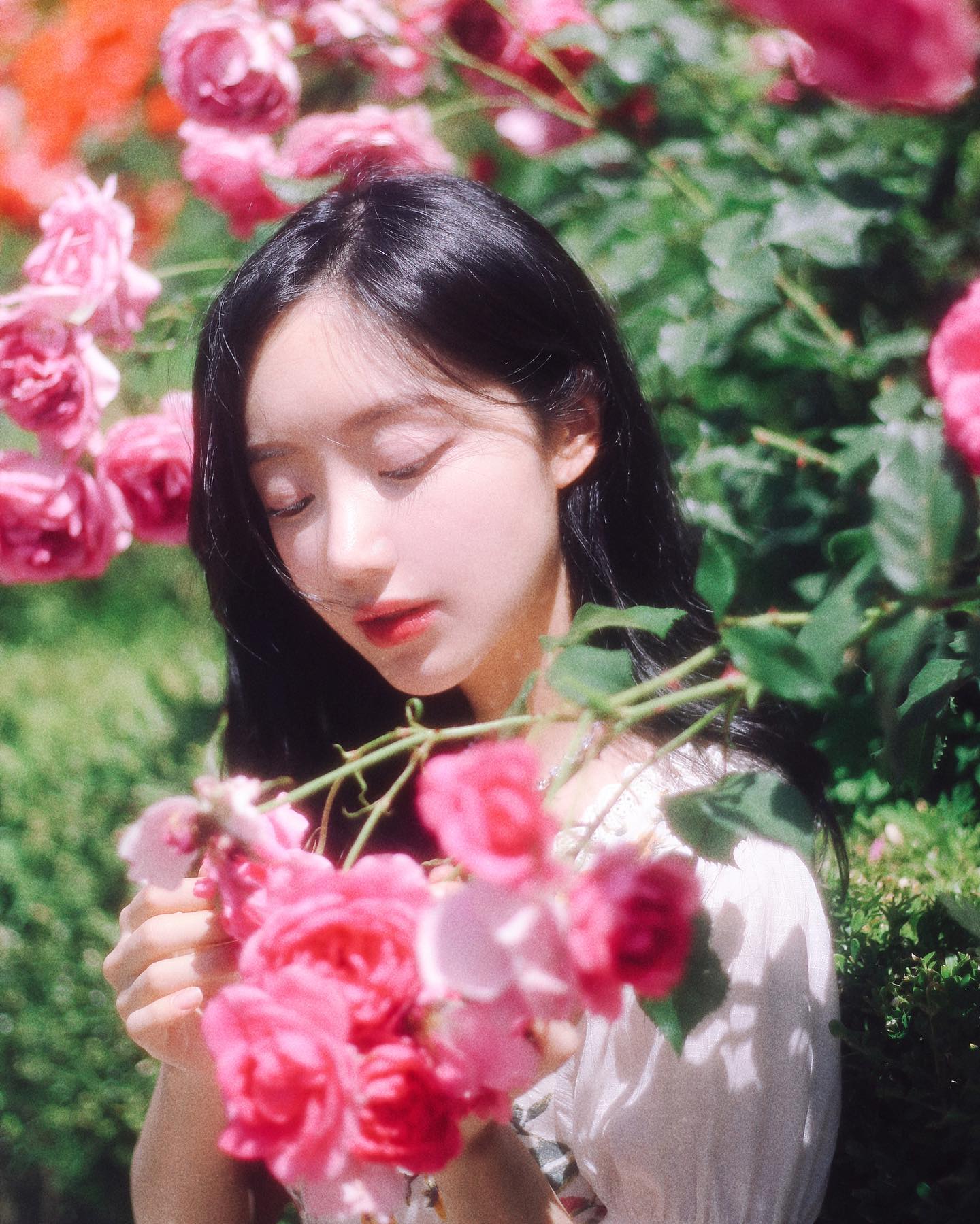📷#쵸파필름
내기준 여름꽃인 장미🌹
왜냐하면 장미필때 난 항상 더웠으니까🌝
장미 다떨어지고 시들시들할때 불러서 걱정했는데
얼굴로 꾸역꾸역 예뻐버리네
.
.
여름 야외촬영은 항상 걱정이 앞서네여~.~
비소식있으면 사진 우중충하게 나올수있겠다 하는 걱정
막상 당일되어 비소식없고 쨍쨍하면
아 오늘도 살아돌아가긴 힘들겠구나 하는 걱정~.~
( 와중에 스튜디오 촬영 잡히면 빵끗 )
아무튼 여러모로 힘든 계절입니댜 다들 여름 잘 버텨봅시댜
.
.
8~9월 스냅촬영 예약받고있습니다:)
촬영문의는 DM이나 카톡으로 부탁드립니다🌹🌹🌹
#장미꽃