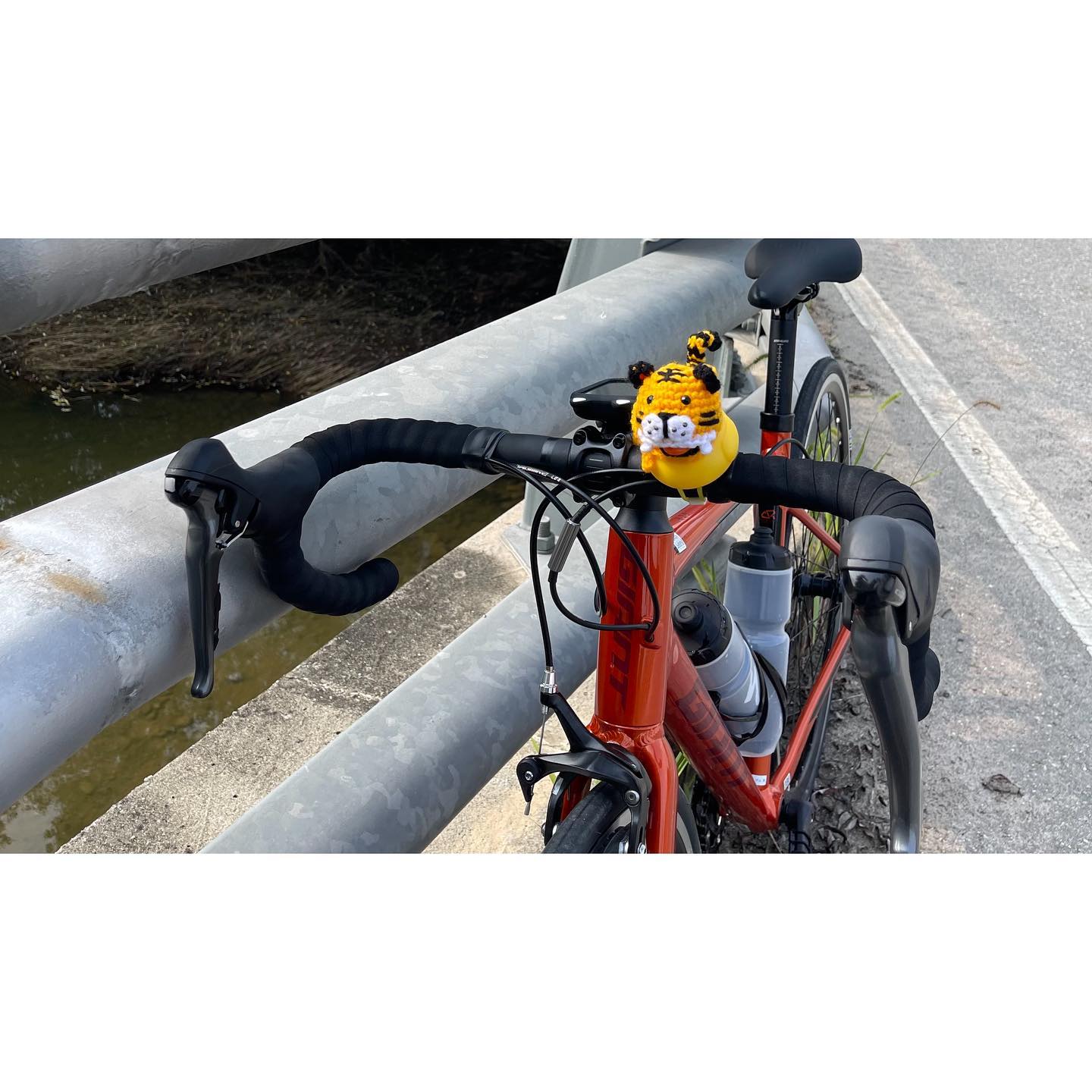 𝟸𝟶𝟸𝟸.𝟶𝟾.𝟶𝟽
.
SCR과 함께하는 세번째 라이딩 🚴🏻‍♀️
강천보-여주보-이포보-여주보-🥲펑크
.
요망지게 새벽부터 여주가서 솔라로 가보겠다고 가서
열심히는 달렸는데 10km기준 3번씩 길 헤메고
나중엔 지구는 둥그니까 언젠가 복귀하겠지의 심정으로 달렸다.
.
와중에 어디 예쁜 자도 냅두고 이상한 길이란 길은 다가서
타이어 펑크나서 7-8km 남았을때 다급하게 택시소환
그래도 실어주시고 태워주셔서 감사했습니다 😂
.
그리고 강천보 인증센터가서 다시 집으로 돌아가며 
근처 자이언트 연락해서 수리된다 그래서 달려감, 진짜 날라감.
.
앞으로 솔라는 집 앞만 가는거에요......
.
#일상 #자생아 #자린이 #자덕 #로드바이크 #로드자전거 #여주보 #이포보 #강천보인증센터 #강천보 #자전거라이딩 #자전거그램 #여주라이딩 #자이언트 #타이어펑크 #SCR2 #자린이성장일기