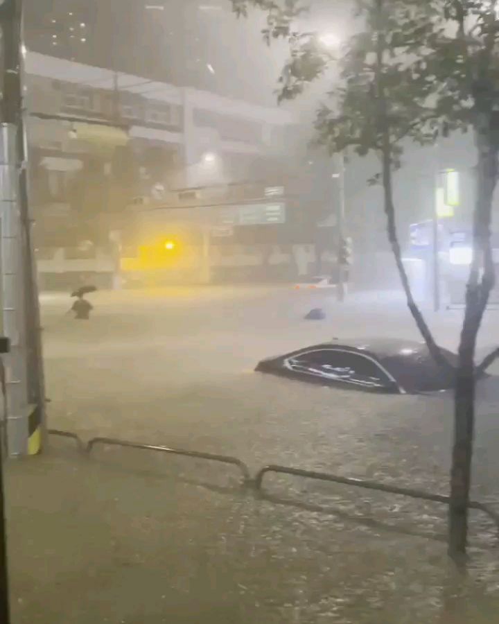 Por si quieren saber lo que está pasando en Corea... 😱🚣🌊