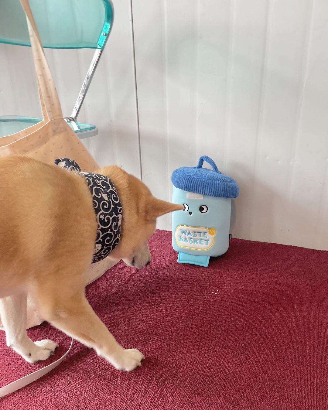 멜루미 시캬류 on Instagram: “#ad 프로 쓰레기통 파괴견 시캬류씨 취향저격 장난감 드디어 나옴ㅋㅋㅋㅋㅋㅋㅋ @noonchstore 쓰레기통 세트여요.. 🗑 ㅋㅋㅋㅋㅋ 너무귀여움 ㅋㅋㅋㅋㅋ 쓰레기